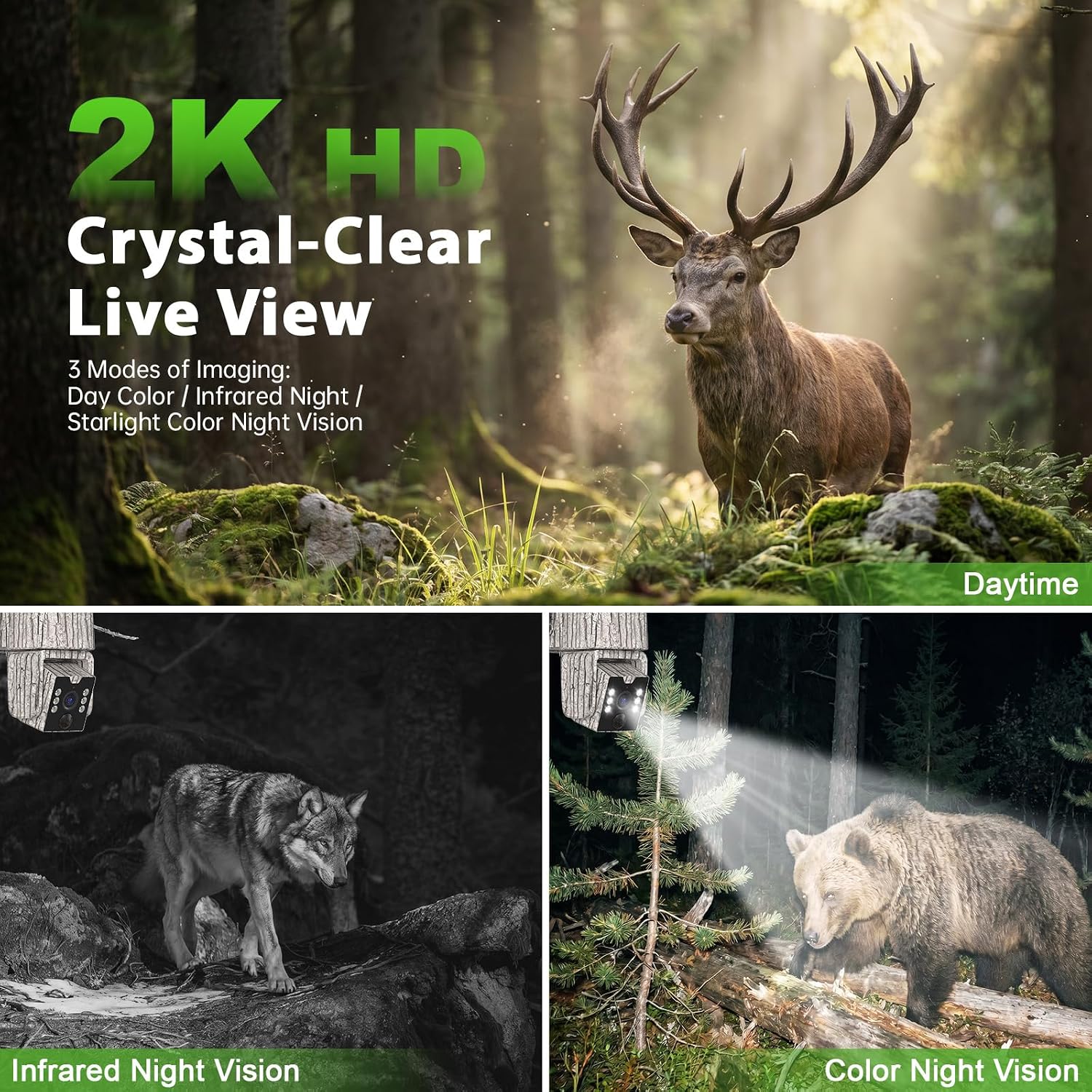4G LTE Cellular Solar Trail Camera,2K PTZ Game Cam,No WiFi Need,Color Night Vision/2-Way Audio/Auto Tracking/PIR Motion Alert,Preinstalled SIM & 16GB TF Card for Outdoor Farm Hunting,IP65,2 Pack image 3