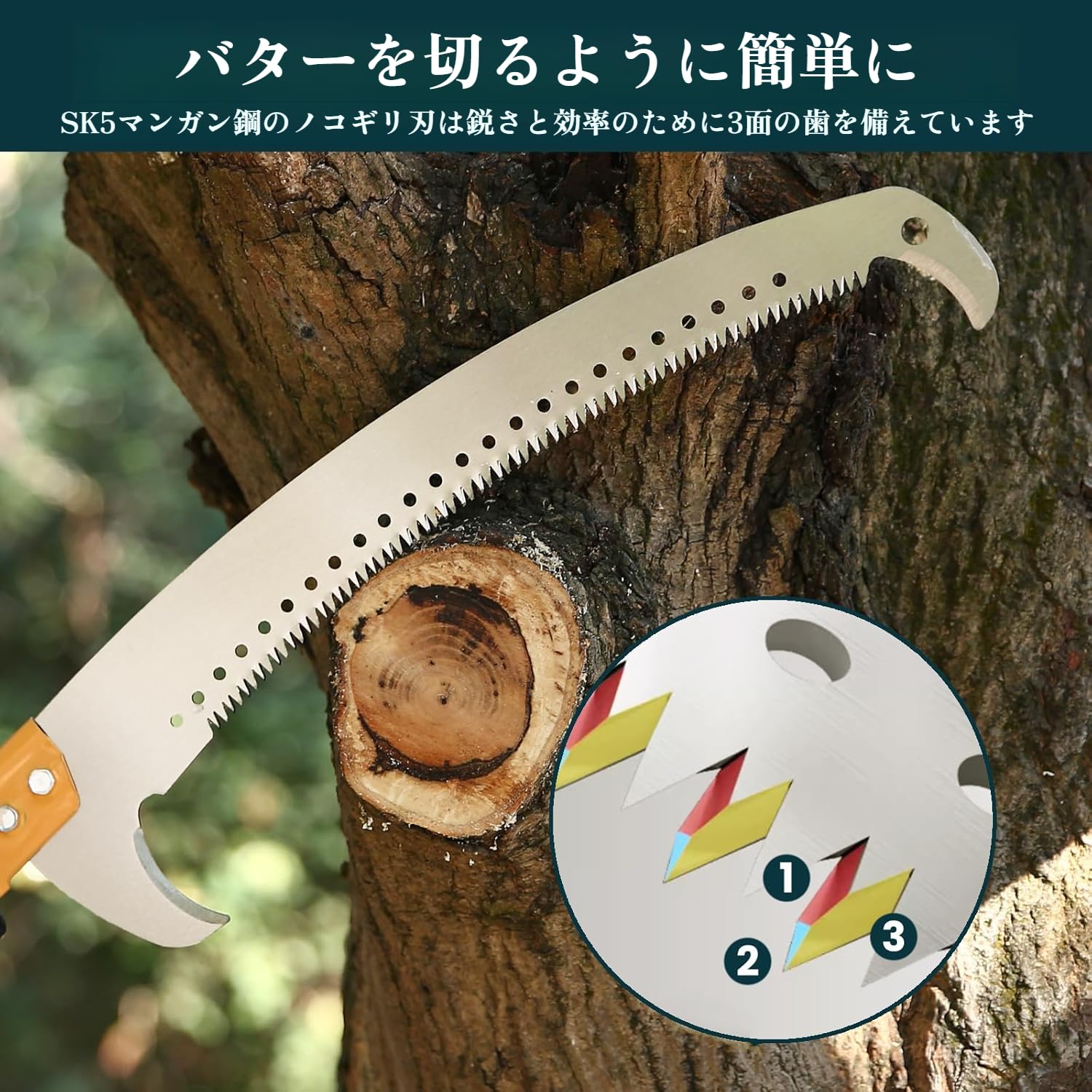 Amazon | 高枝切りノコギリ 伸縮式【最大8m/脚立不要】のこぎり・剪定
