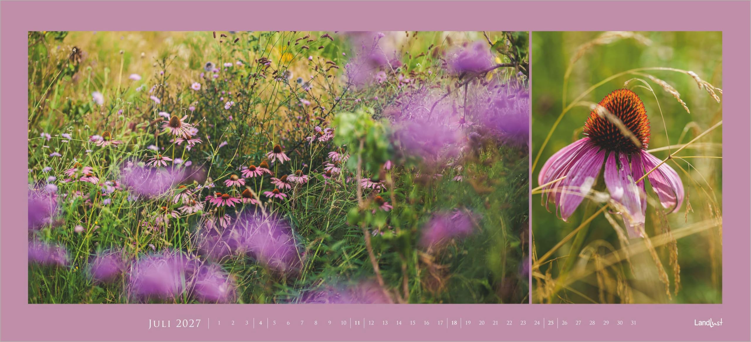 LandLust Panorama: Garten-Kontraste 2027: Wandkalender 110x50 cm mit großformatigen Fotografien aus Landhaus-Gärten | Wandkalender 110x50 cm mit großformatigen Fotografien aus Landhaus-Gärten