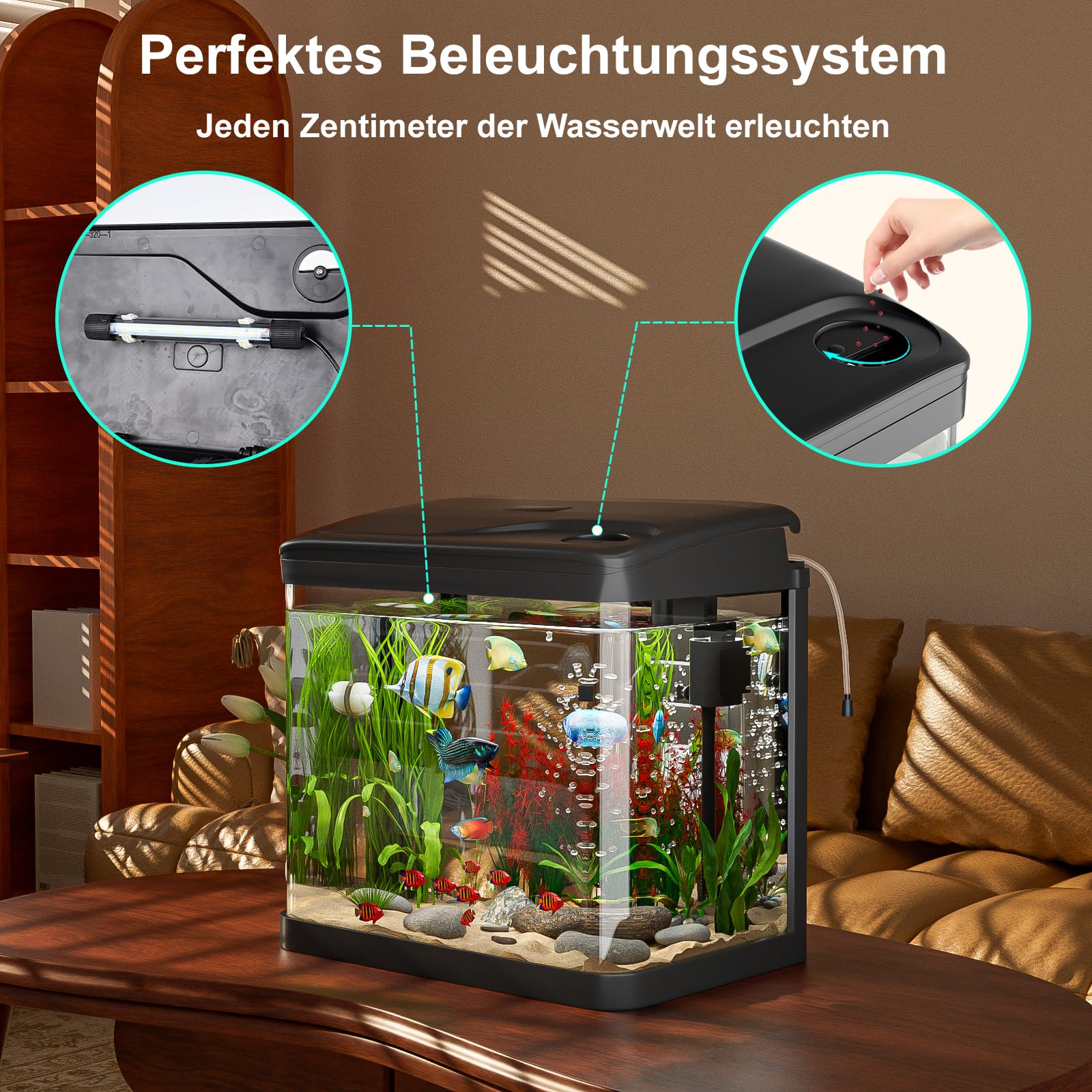 Starterset voor aquarium met filter en led , klein , van glas voor