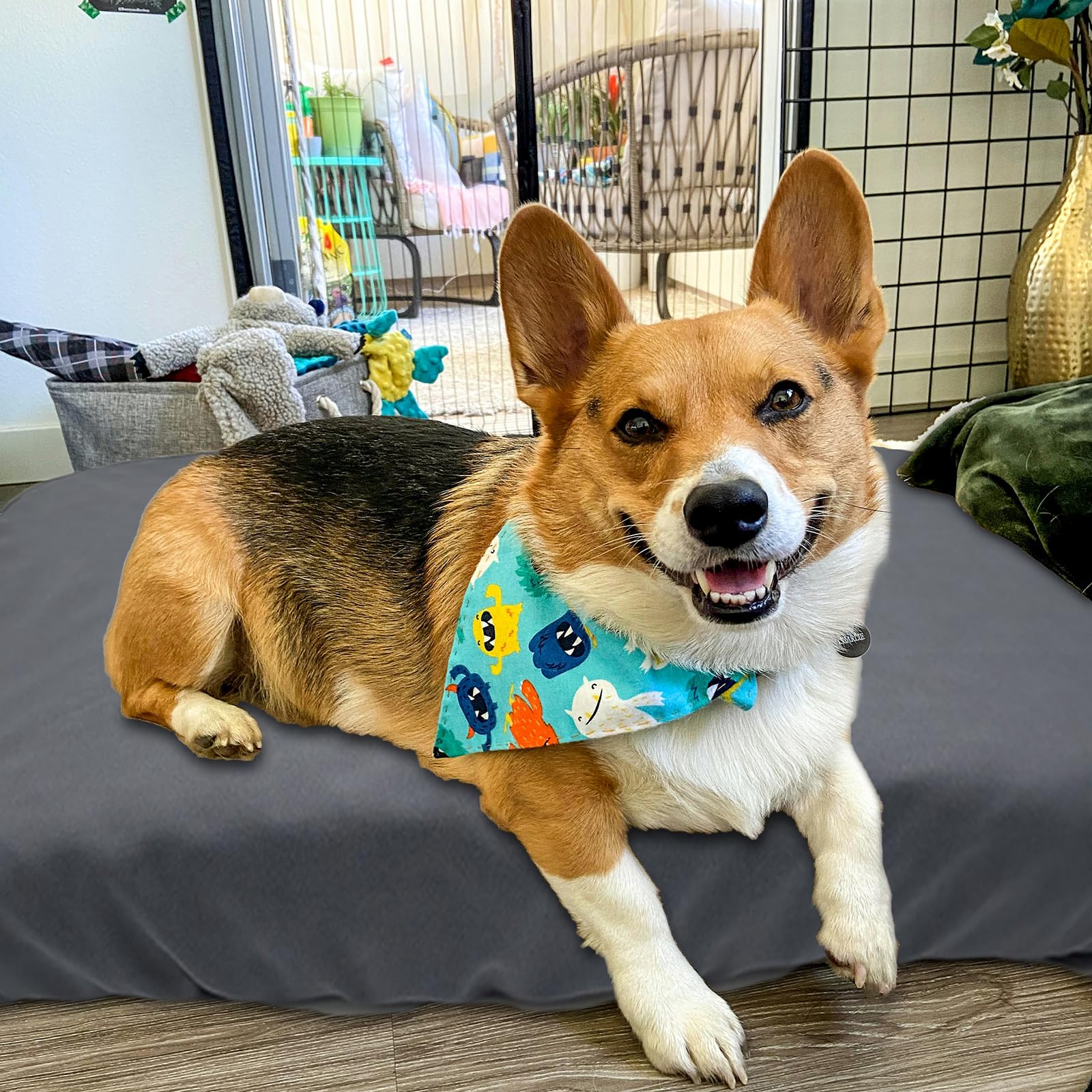 Funda de cama para perro, impermeable, de repuesto, lavable a máquina, para cama de perro, resistente a los arañazos, protector de colchón para mascotas de 47 x 29 pulgadas, solo funda gris