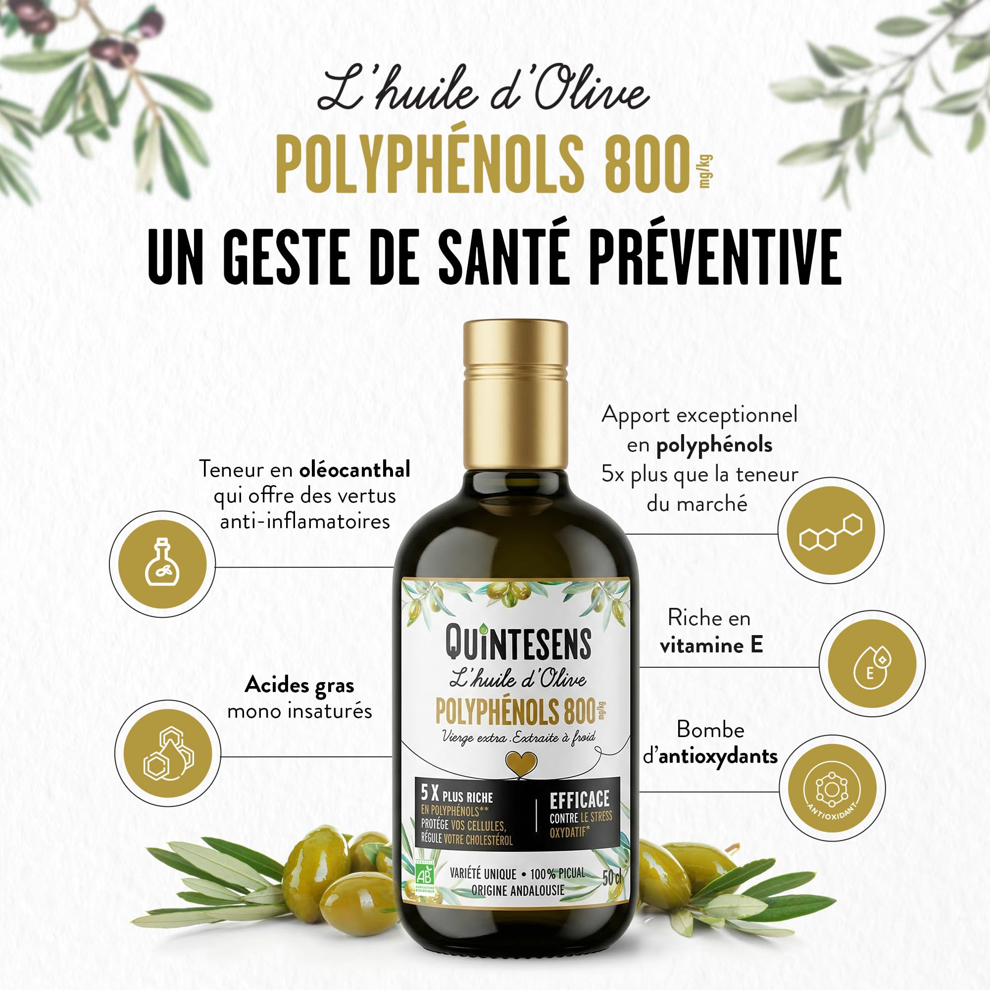 Huile d'Olive Extra Vierge Polyphénols QUINTESENS 500 ml – Santé Cardiovasculaire & Antioxydant Puissant – 880 mg/kg de Polyphénols – Pressée à Froid en 24h – 100% Bio – Origine Andalousie