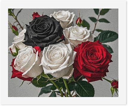 FZQVSGW Digital Oil Painting for Adults, Beginners Paint by Numbers Kits, Black White and Red Roses Digital Oil Paints by Number for Adults, Easy Canvas Art Print Kit for Home Wall Decoration 40x50cm