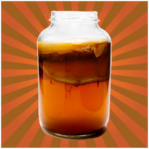 KOMBUCHA Made Easy! How to Make Kombucha Tea - Your First Home Brew With Probiotics