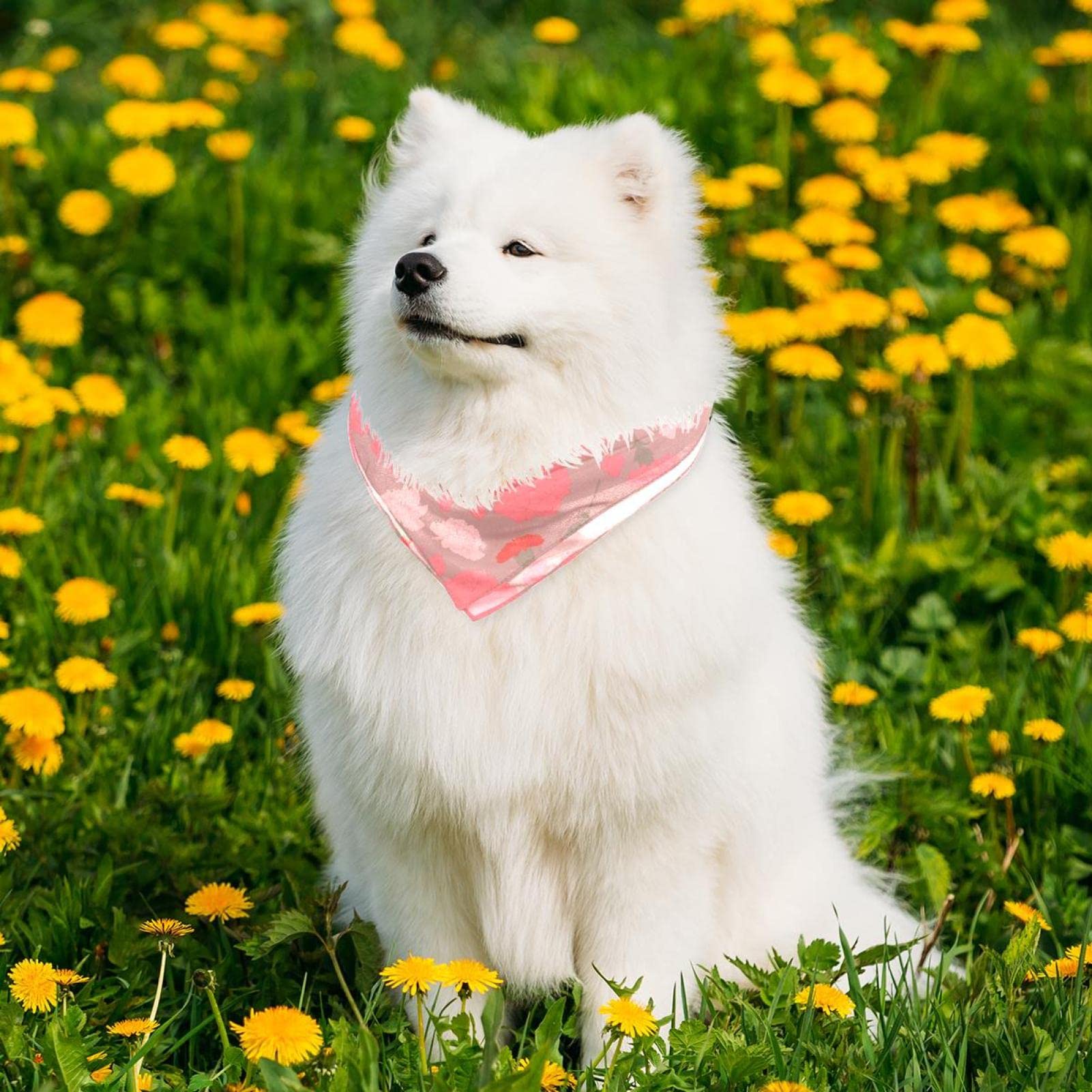 Vind bandana hond op - maart 2026