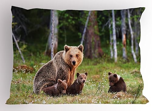 Miniatura 5 de Lunarable Funda de almohada de cachemira, diseño abstracto de flores orientales, copos de nieve y detalles en círculo, impresión de arte étnico,