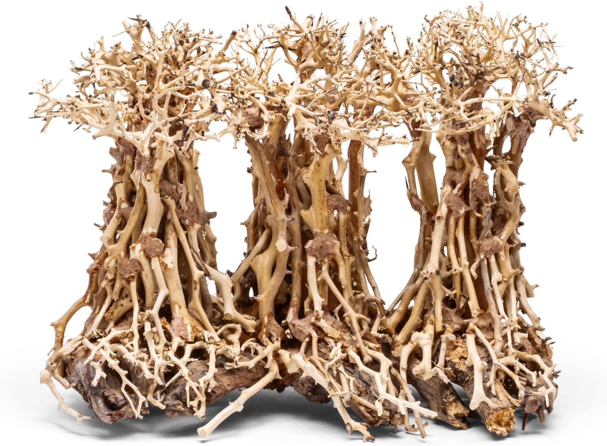 Ultum Nature Systems Bonsai - Handcrafted Hardscape Driftwood for Aquarium, Terrarium, Vivarium, Natural Aquascape Hardscape Decorations, Aquascaping Hardscape for Live Aquatic Plants - 005, Large