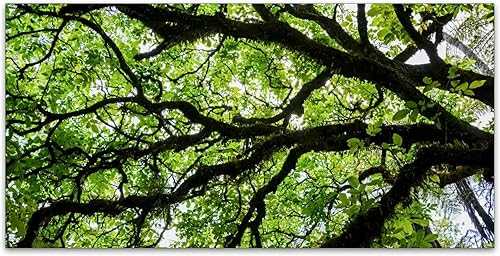 Miniatura 2 de Cubiertas de luz fluorescente para la oficina en el aula, eliminan el deslumbramiento intenso que causa fatiga ocular y dolores de cabeza.