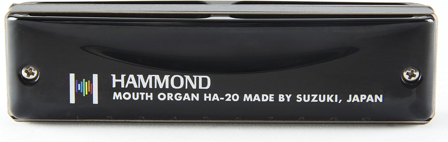 Suzuki-Promaster-Hammond-A