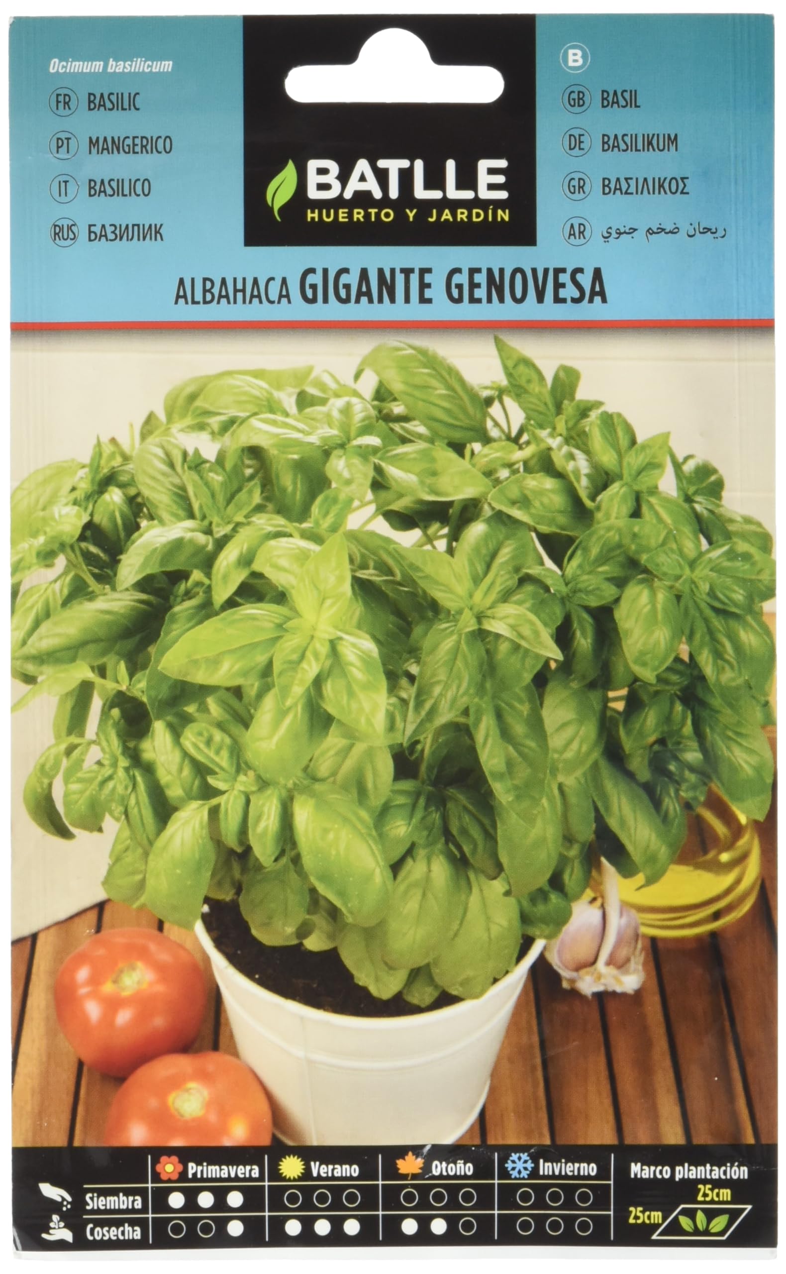 Graines aromatiques de Batlle - Basilic géant génois (4g), vert