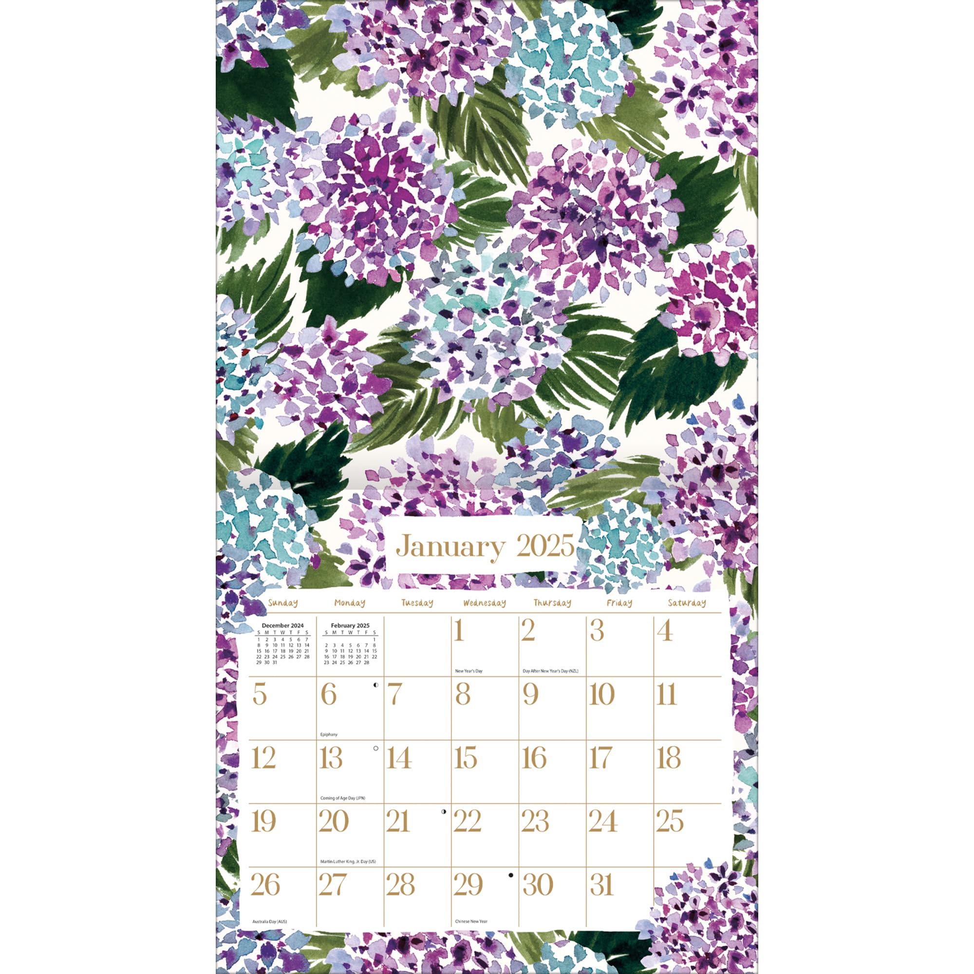 amazon-com-lang-wild-at-heart-2025-wall-calendar-25991002012-office-products