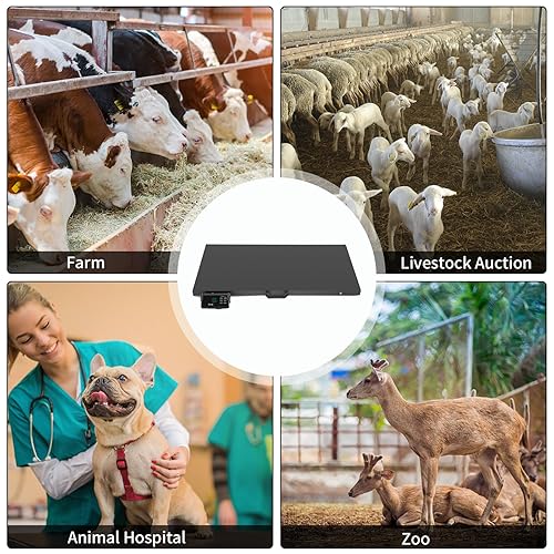 Miniatura 8 de TUFFIOM Báscula de ganado de envío digital postal de 1100 libras x 0.2 libras, plataforma electrónica de acero inoxidable resistente, báscula de