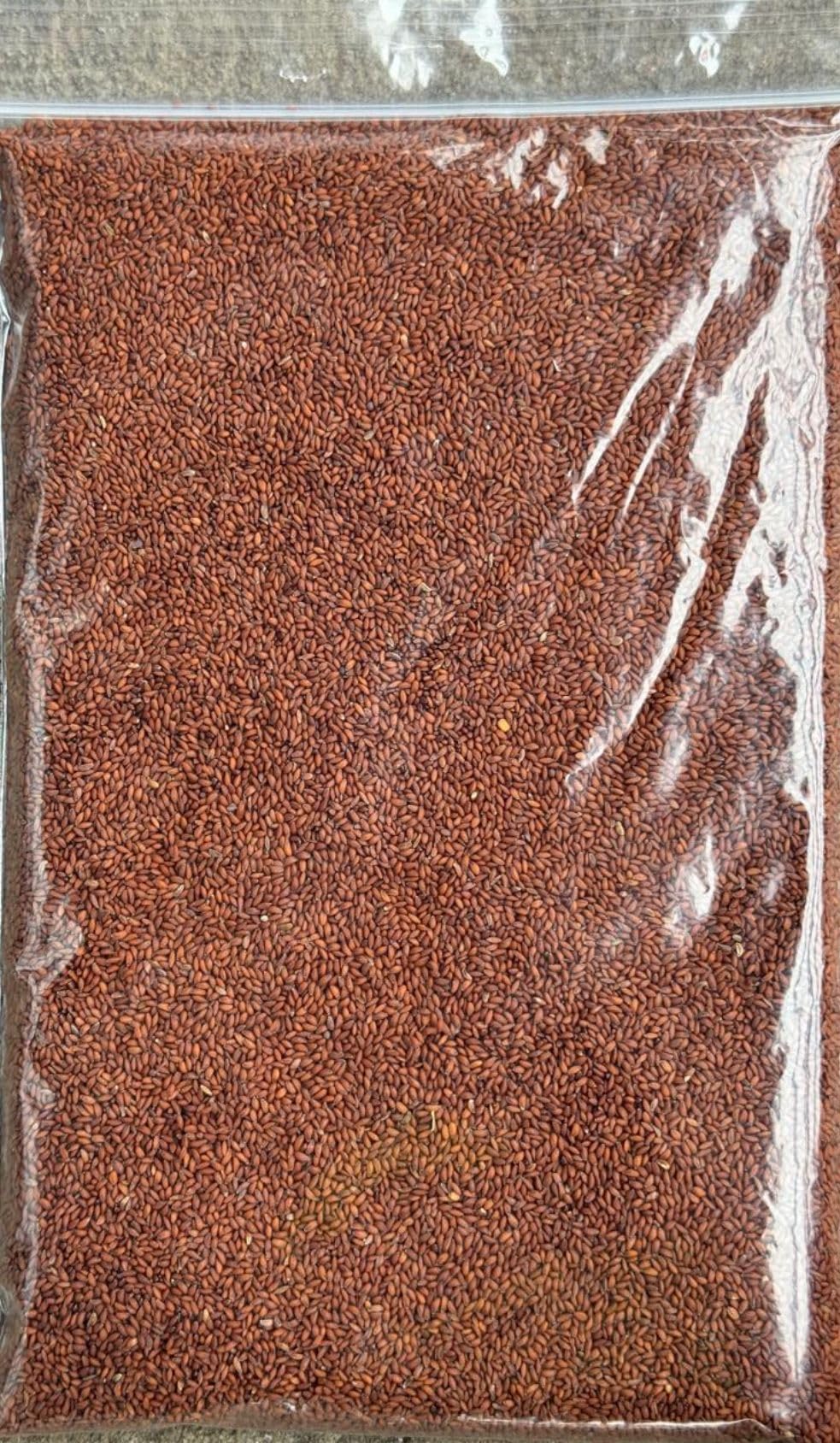 Cress Seeds | Halim Seeds Sprouting Premium Quality Free UK P&P by ash spice company (250g)