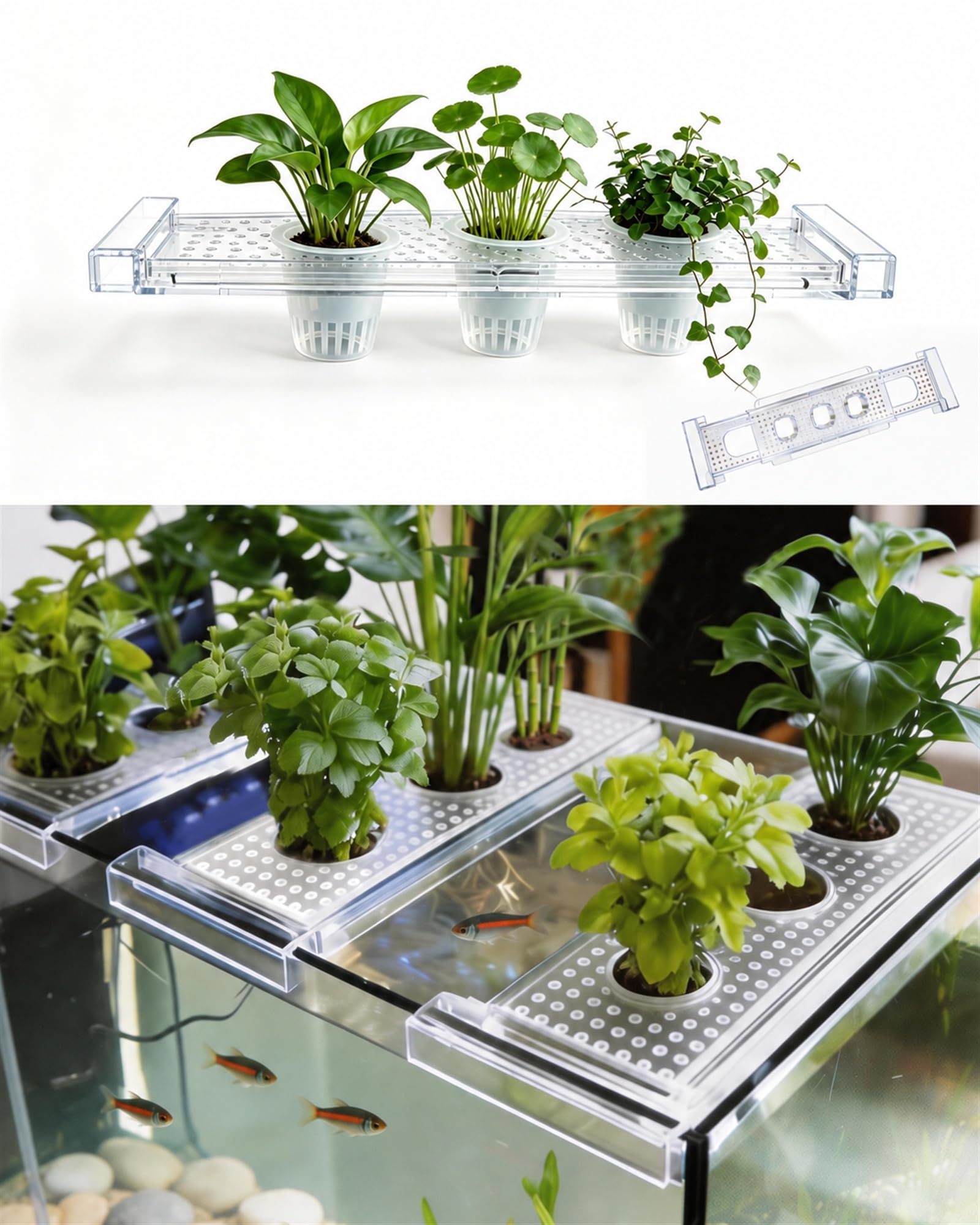 2026 Telescoping Aquarium Plant Holder with 3 Cups, Clear Acrylic