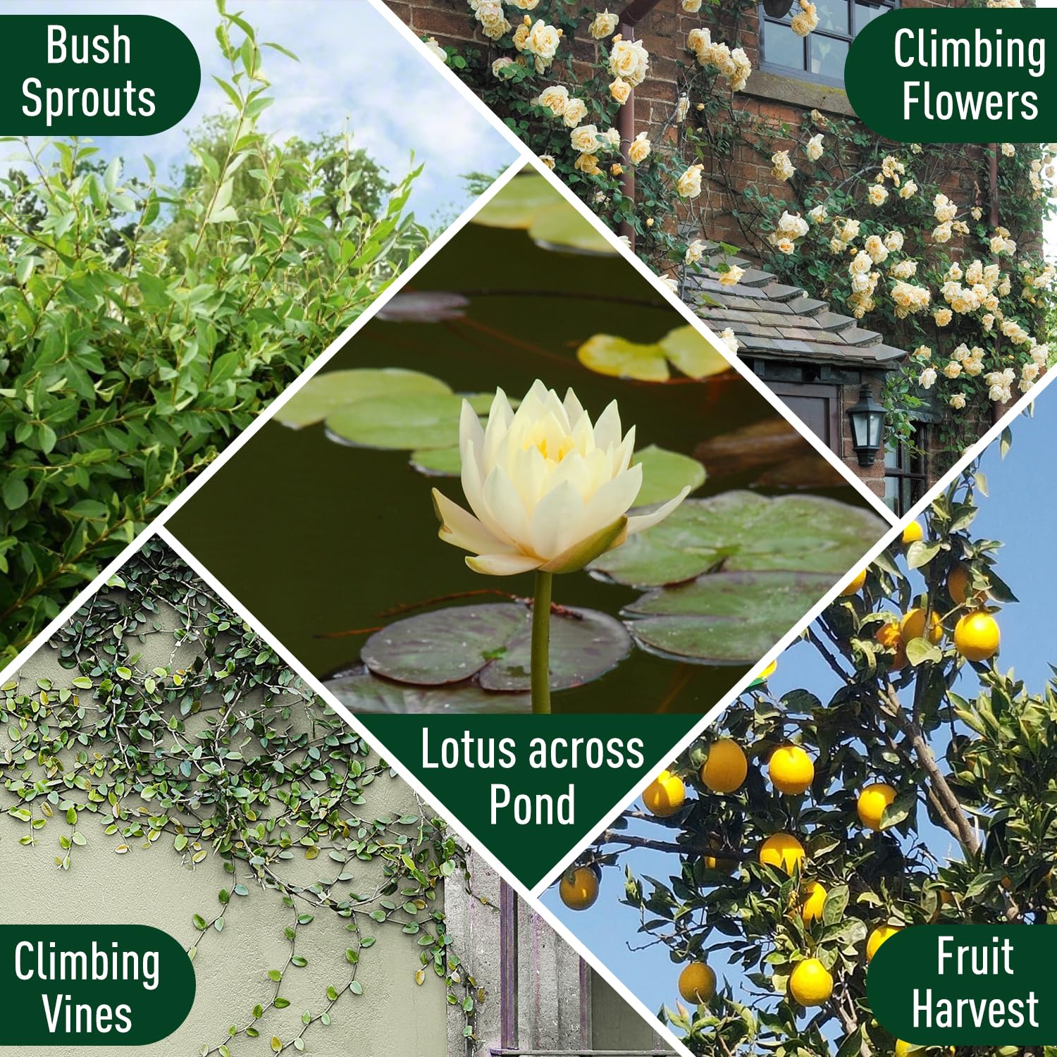 Jardineer Sekator o długim zasięgu, teleskopowy sekator do drzewa, 180 cm - 300 cm, lekki sekator do cięcia gałęzi drzewa