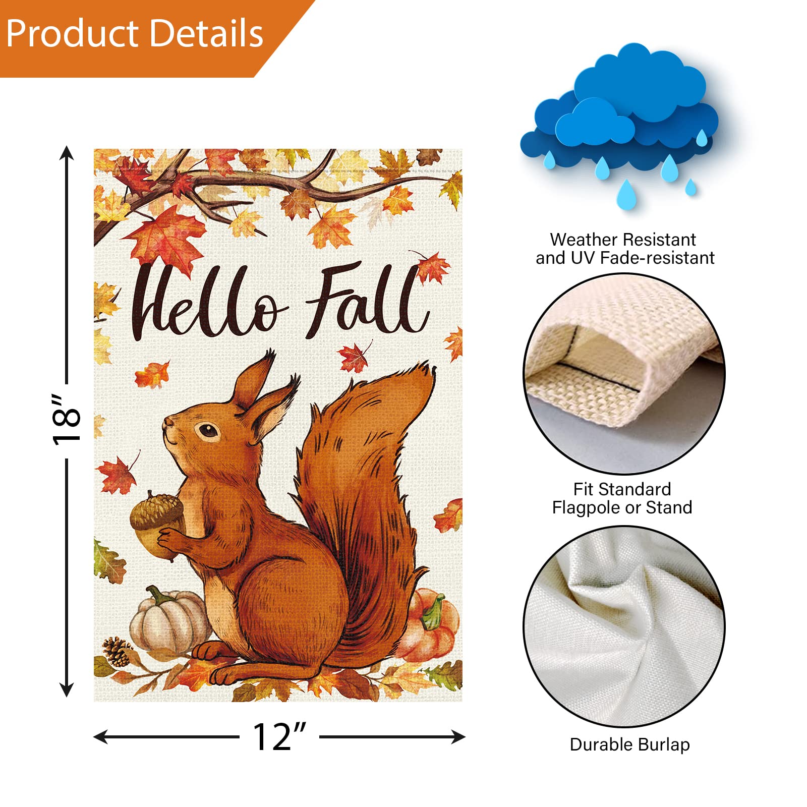 écureul automne automne carte écureul carte de la fête | Etsy