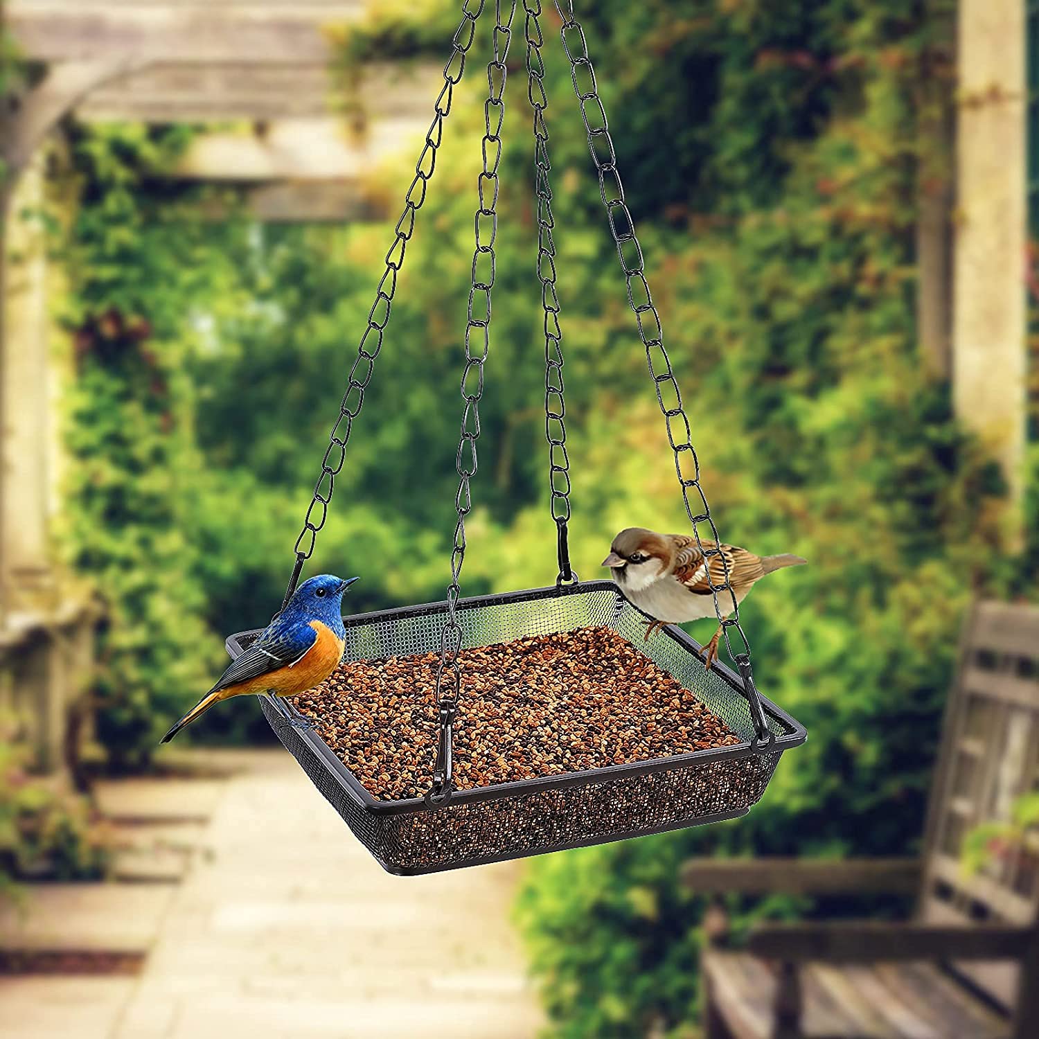 Mangiatoia Per Uccelli Super Idea - A Maglia Fine, In Ferro, Con Gancio, 178x178x60 Mm - Foto 5