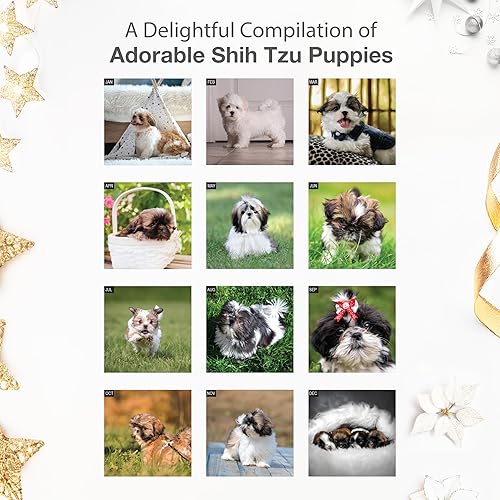 Miniatura 3 de RED EMBER Shih Tzu Puppies - Calendario mensual de pared colgante 2024, 12 x 24 pulgadas, abierto, papel grueso y resistente, para regalo, lindo