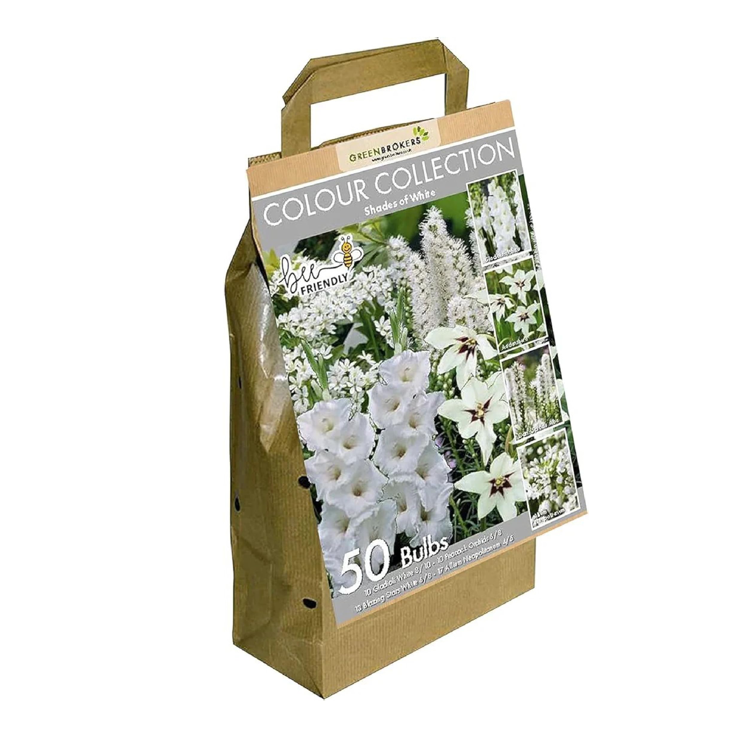 50 White Summer Flowering Bulbs Mixed Varieties | Bee & Butterfly Friendly | Eco Packaging | Premium Quality Dutch Bulbs | Plant Now Ready to Bloom in Summer