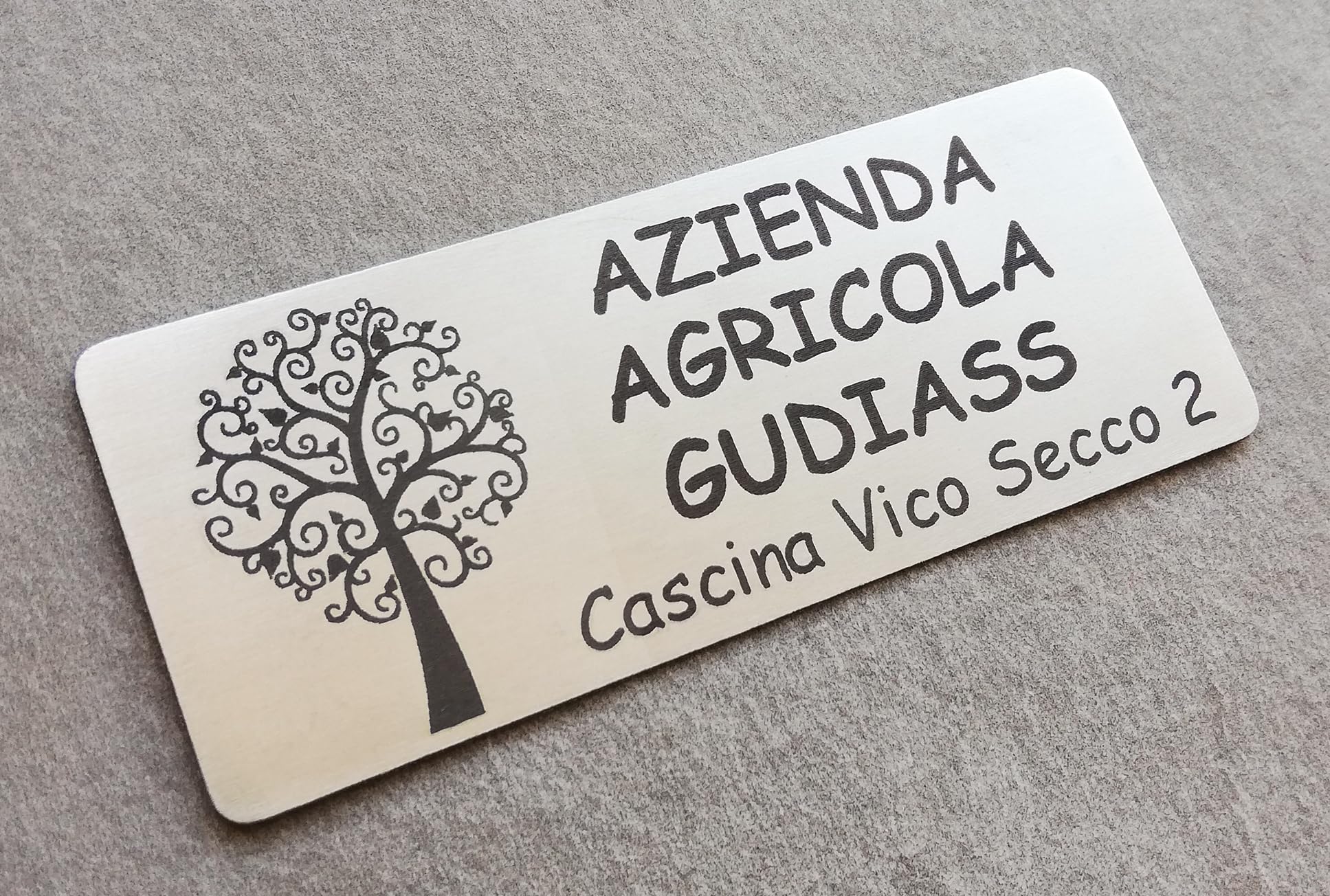 GUIZZO Creart - Targa Personalizzata con Nome, Via e/o Famiglia in Acciaio Inox, Targhetta Personalizzata Made in Italy, Targhetta Porta Ingresso Personalizzata Multiuso Modificabile, 10x4 H cm