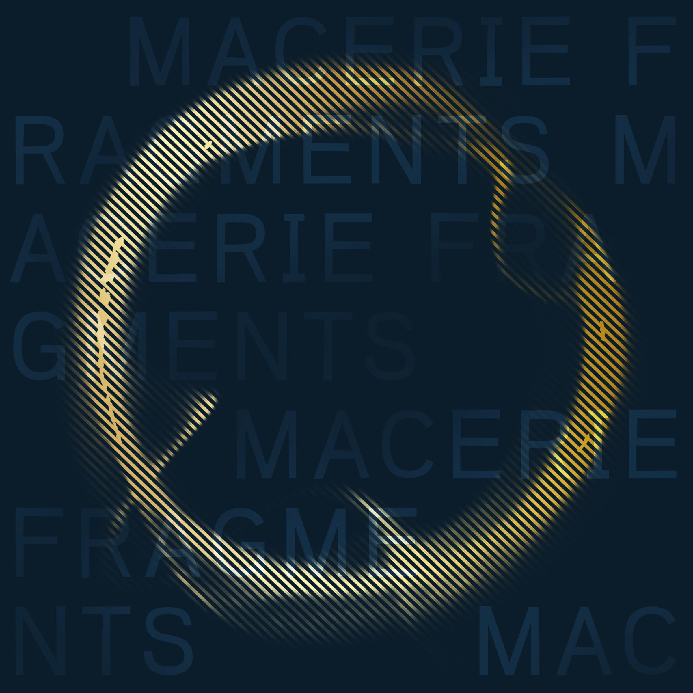 Macerie (Italian Edition)