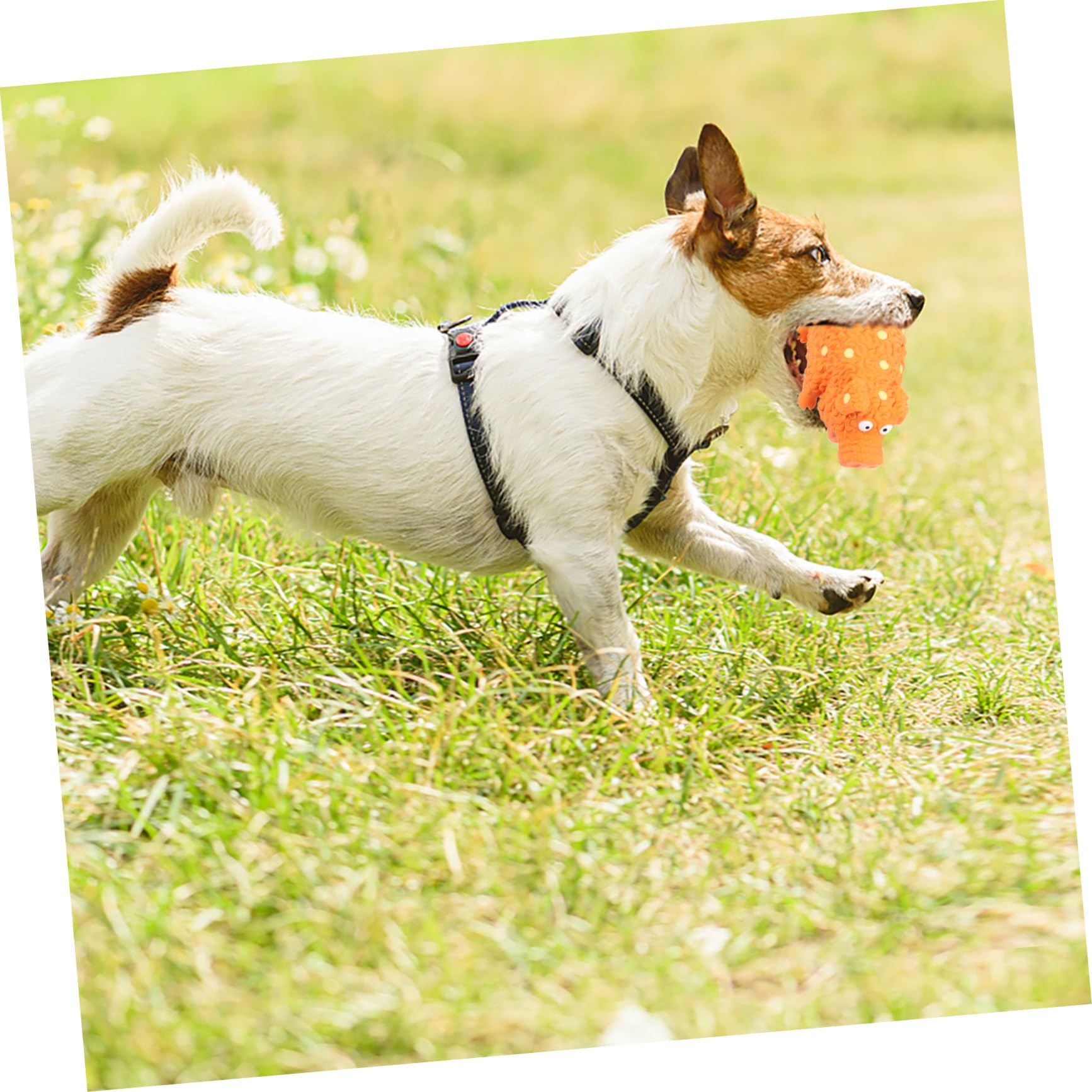FRCOLOR 4piezas Juguete Chirriante para Perros Set Juguetes De Látex para Masticar para Cachorros y Perros Pequeños Ayuda Limpiar y La Inteligencia