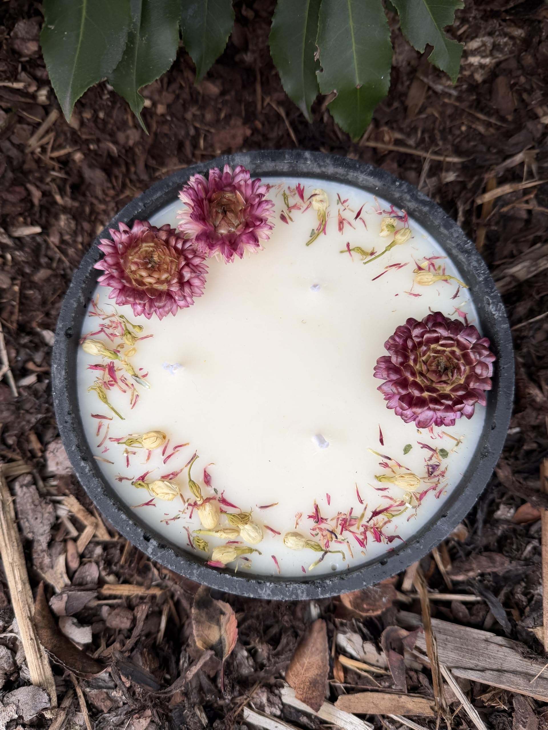 XL Betonkerze "Big Bloom" (Ø 18cm) | Handgegossene 3-Docht Sojawachs Kerze | Mit echten rosa Blüten | Vegan & Nachhaltig | Made in Germany (Frühlings-Deko & Geschenk) (Citronella)