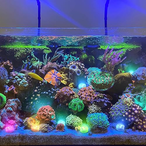 Miniatura 7 de Mini luces LED sumergibles RGB con control remoto, mini velas de té subacuáticas sin llama, pequeña luz LED para fiesta de boda, jarrón, luces de