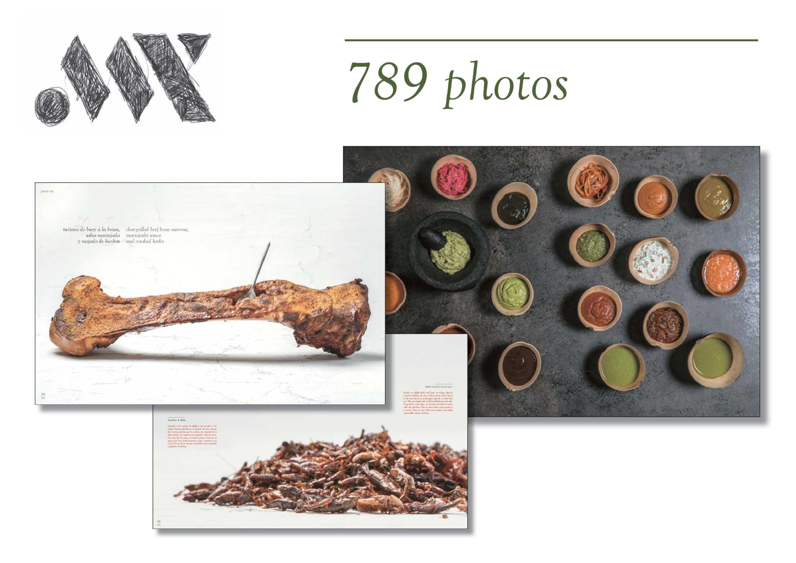 Punto Mx: Contemporany Mexican Cuisine (COCINA)