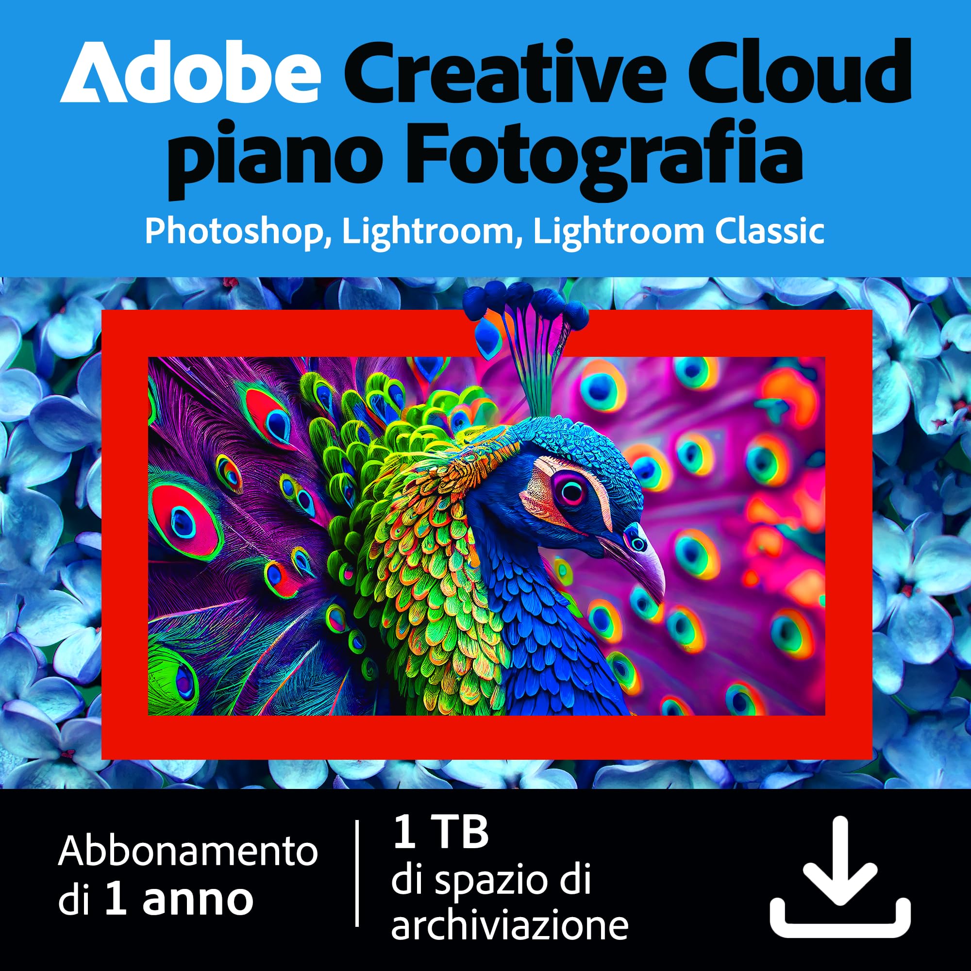 Creative Cloud Photography plan | Standard 1TB | 1 Anno | PC/Mac |Download Digitale