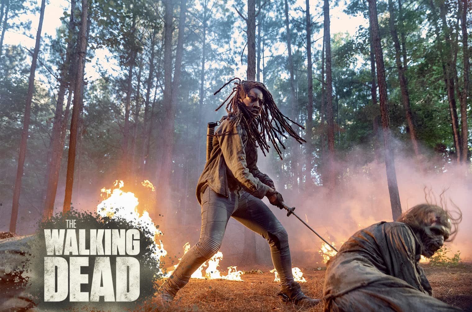 The Walking Dead - Staffel 10