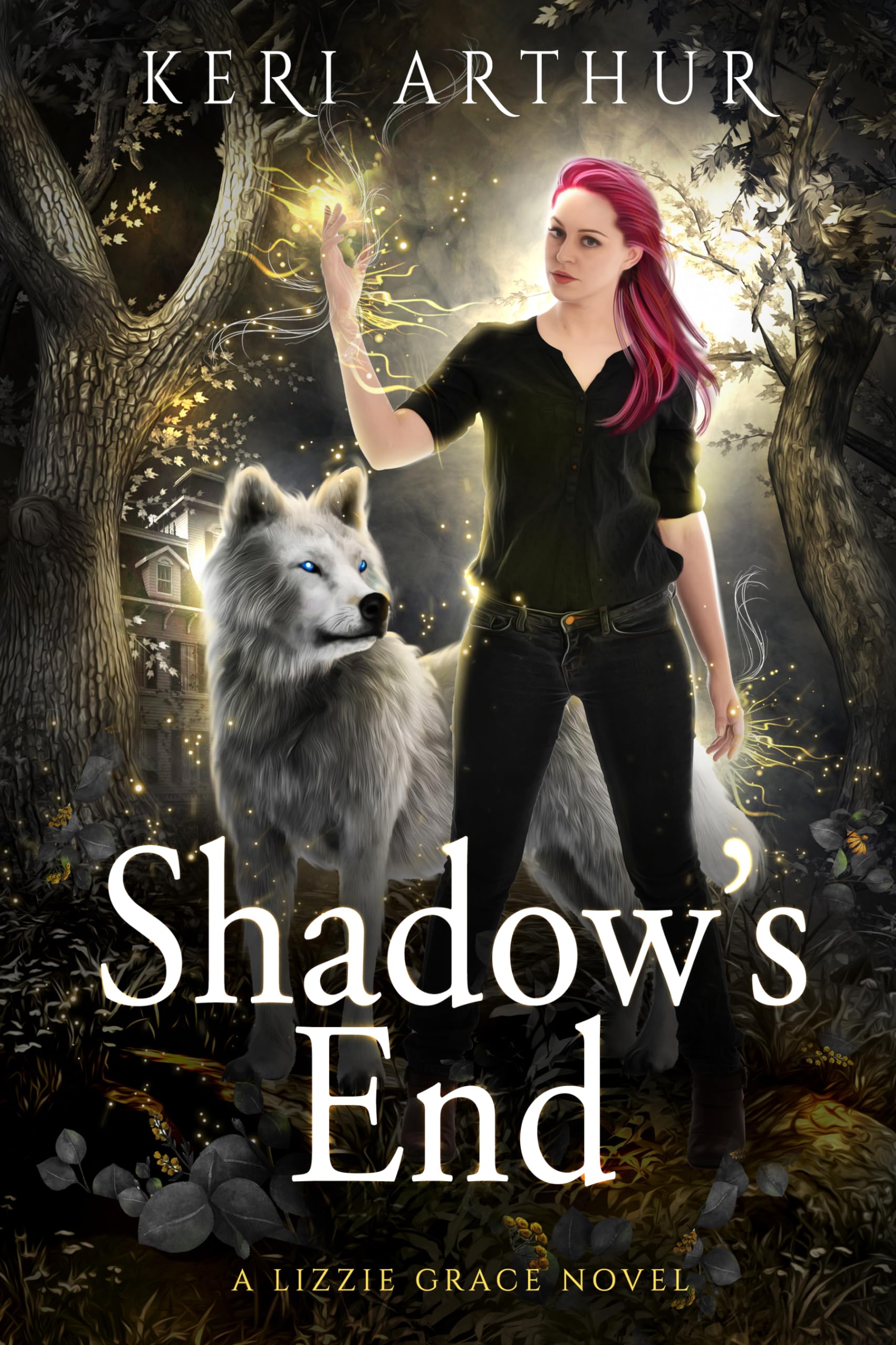 Cover of Shadow's End