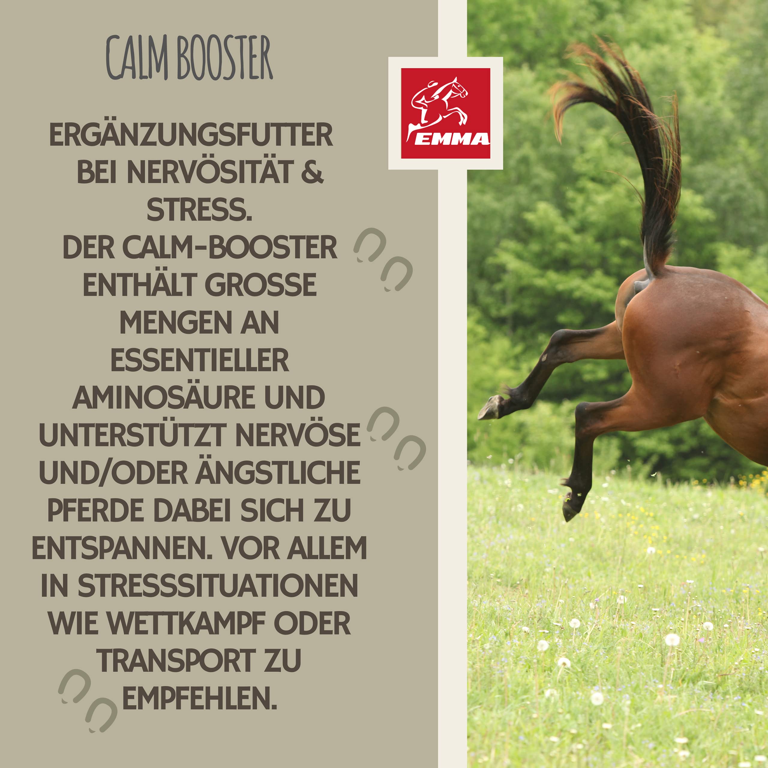 EMMA Magnesium Pferd Paste 4×30ml Calm Relax Booster mit L-Tryptophan & Vitamin B12 I Beruhigung Pferd bei Stress, Angst, Transport & Turnier I Anti-Stress Nervenpaste für nervöse Pferde & Ponys
