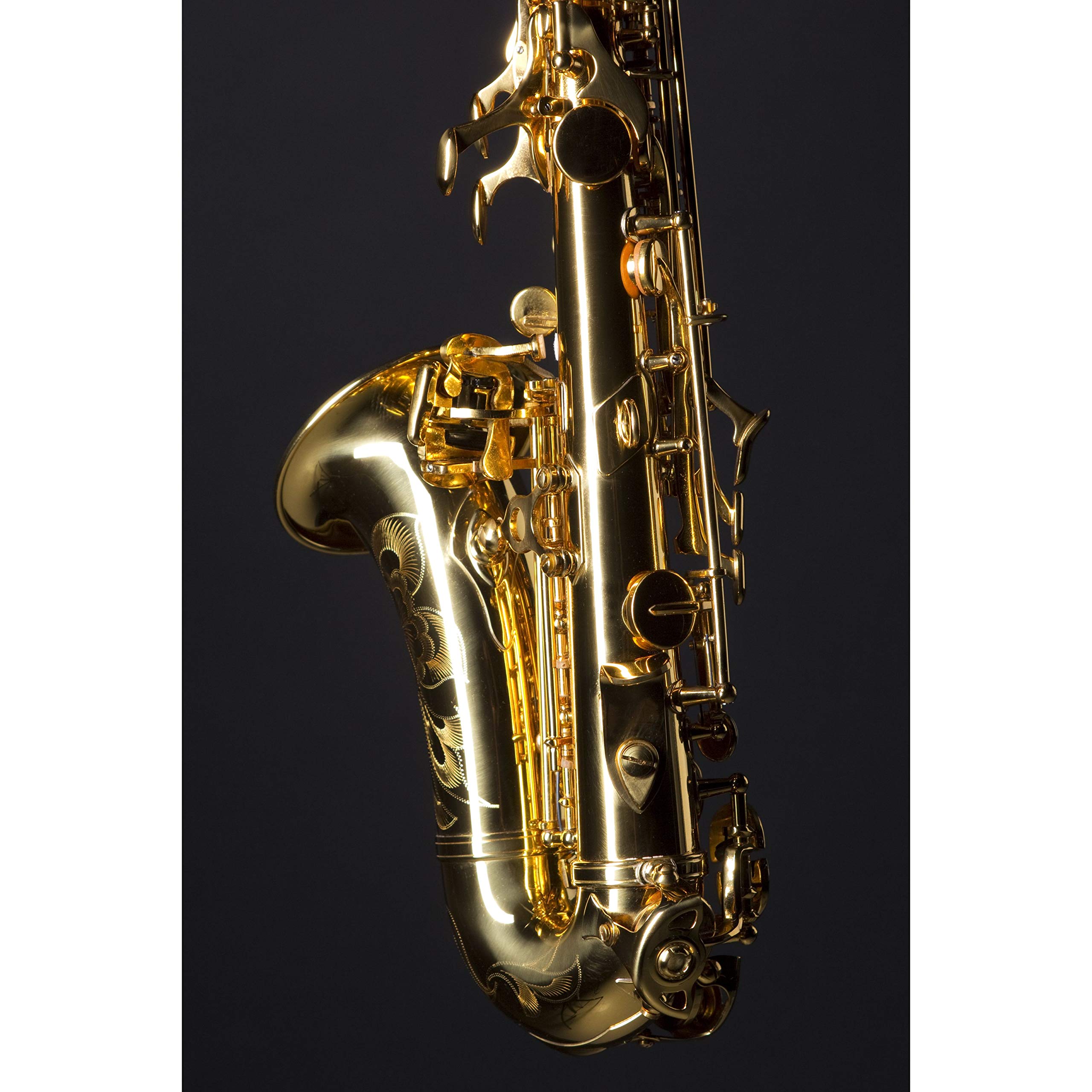 Monzani MZSC-233 Sopransaxophon, Bb Stimmung, Messing Mechanik, Goldlack Finish, Inklusive Mundstück und Hardcase, Ergonomische Mechanik, Ausgewogener Klang, Italienische Polster und Federn, 1.44kg