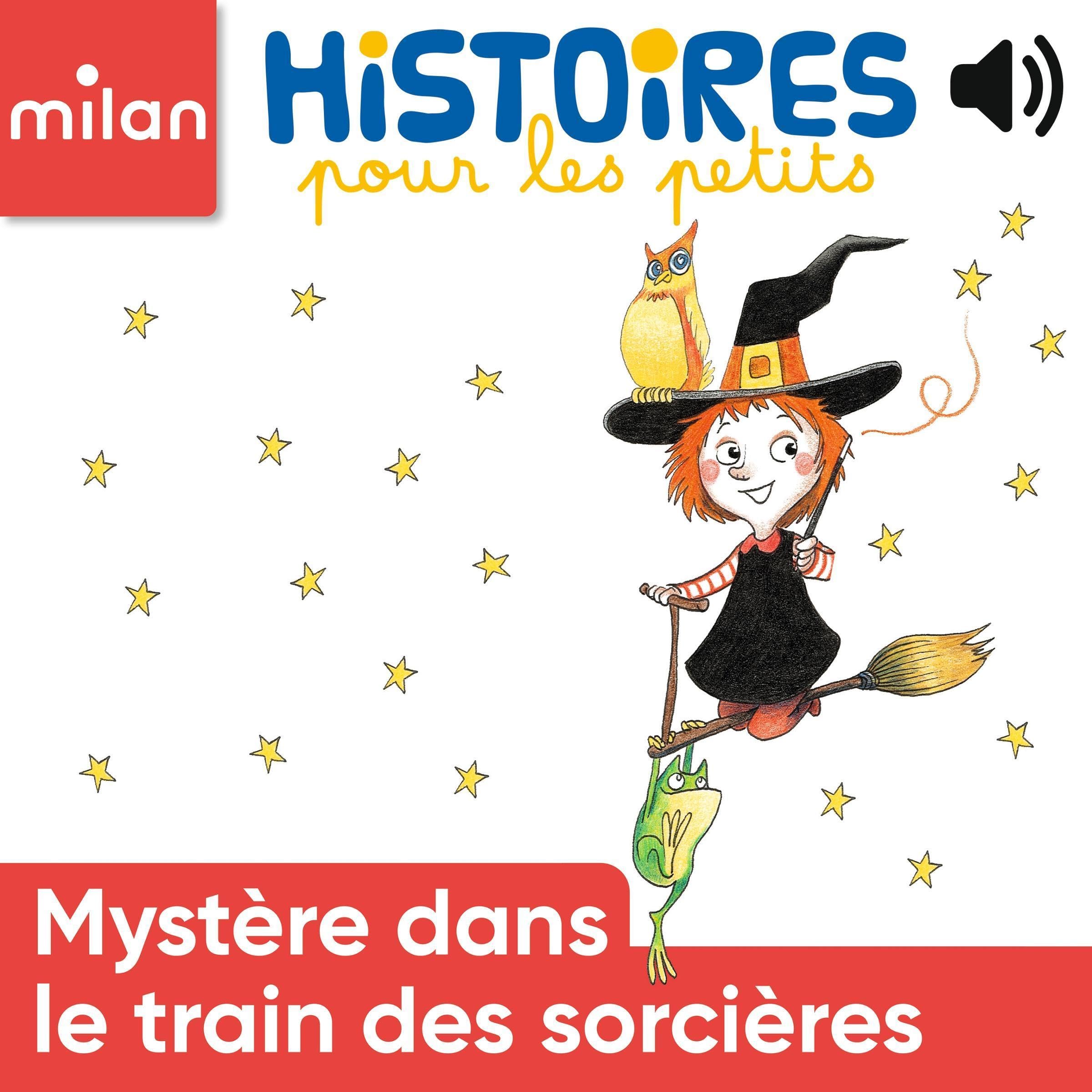 Cover art for Mystère dans le train des sorcières