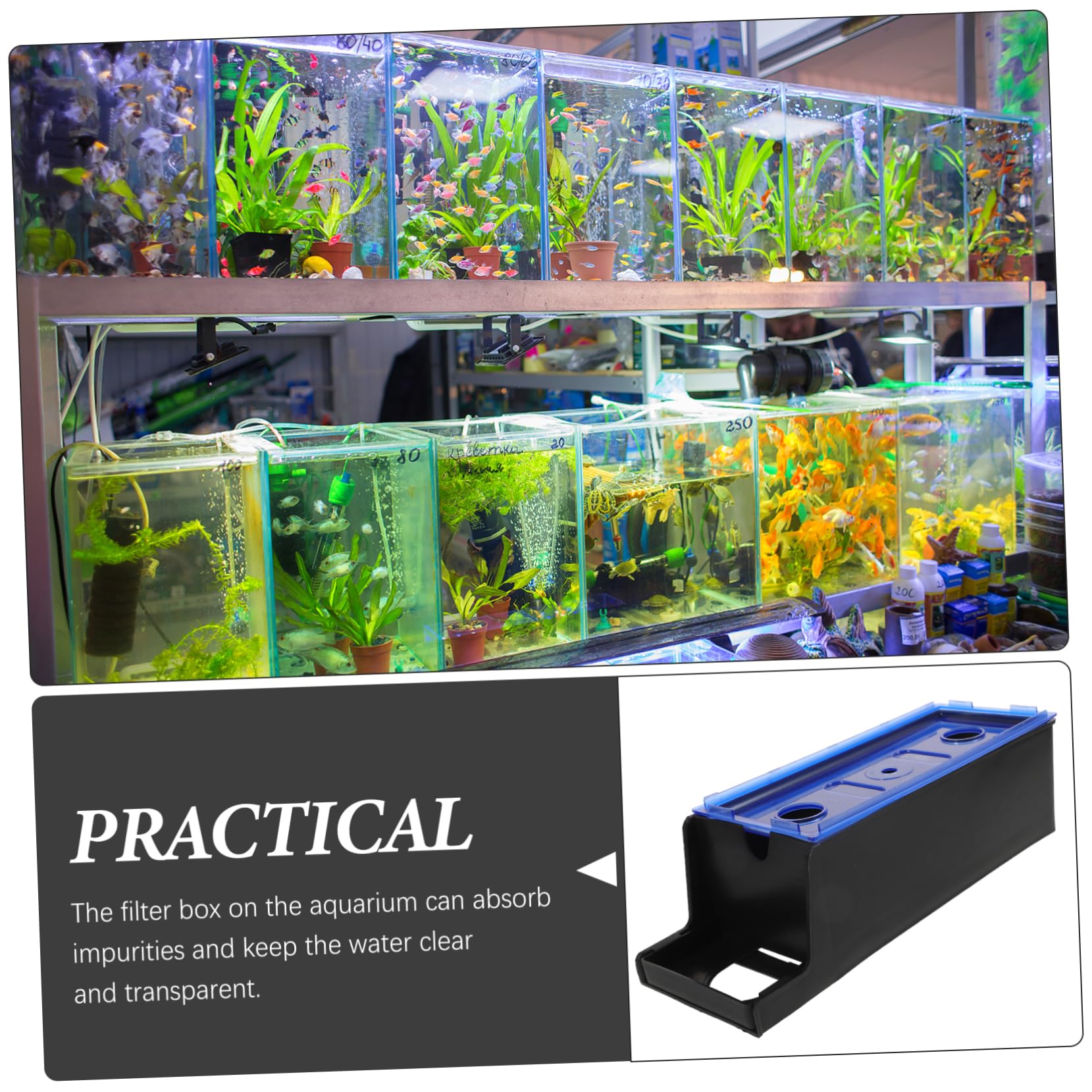 Kisangel Caja De 4 Uds Filtro para Pecera Filtros para Pecera Acuario Filtro Colgante De Filtración En Cubo Purificador De Agua Caja De Filtro De Agua para Acuario