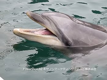 Amazon | Canon デジタルカメラ PowerShot N2 自分撮りモード