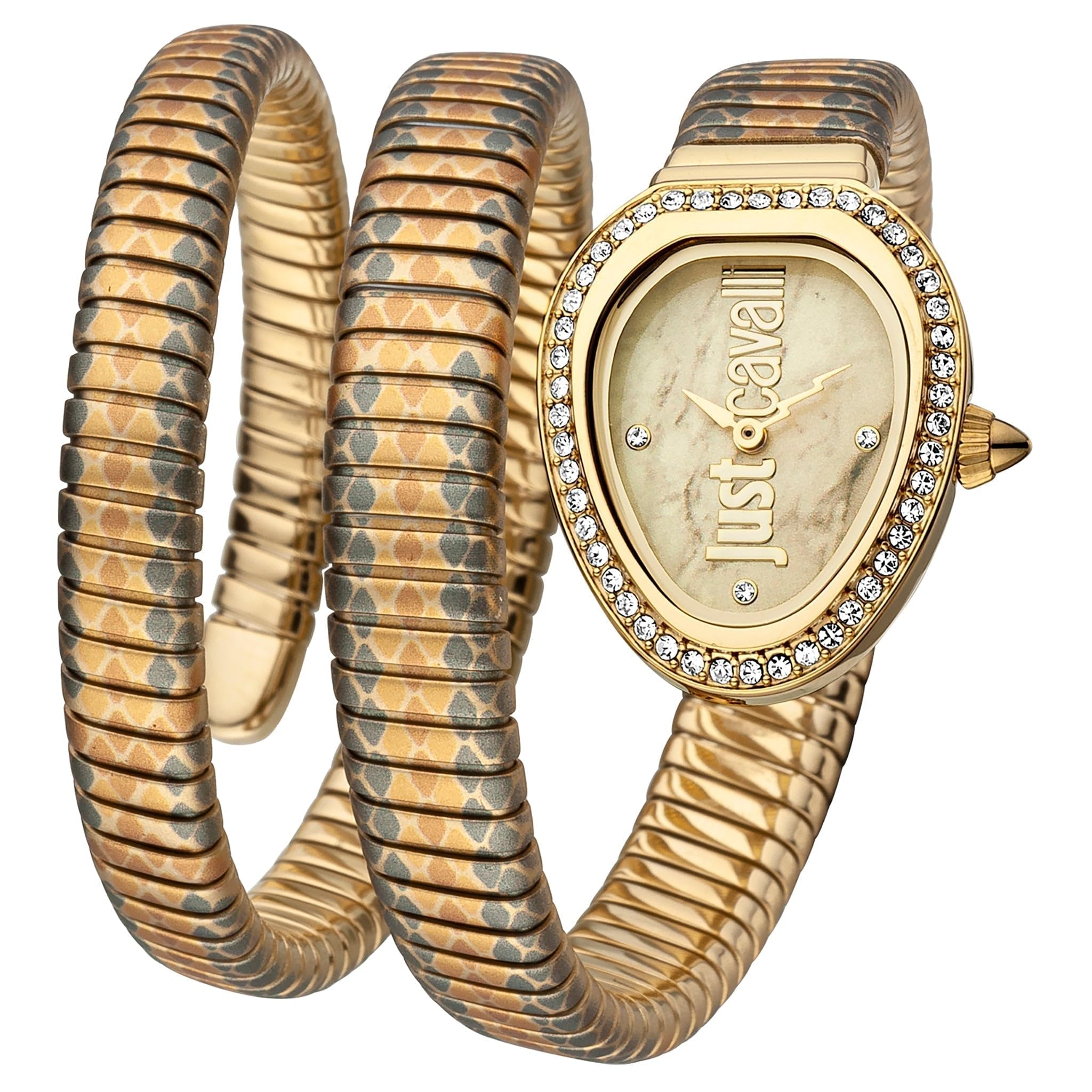 Just Cavalli Analogue, Stainless Steel Anlog Two Tone, Gold Watch For Women (B09S9Q1ZKS) Amazon Price History, Amazon Price Tracker