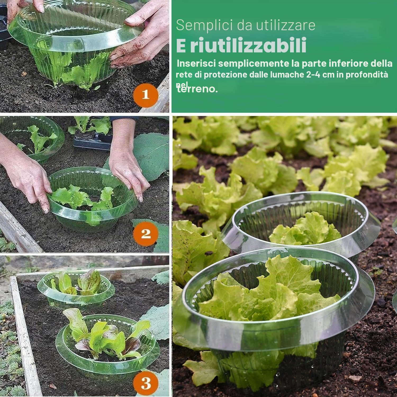 Collare per lumache, per Piante da Insalata e Carbone, Anti-lumache, Senza Prodotti chimici, Collo per lumache, Protegge Le Piante, per Essere più Belle(15 Pezzi)