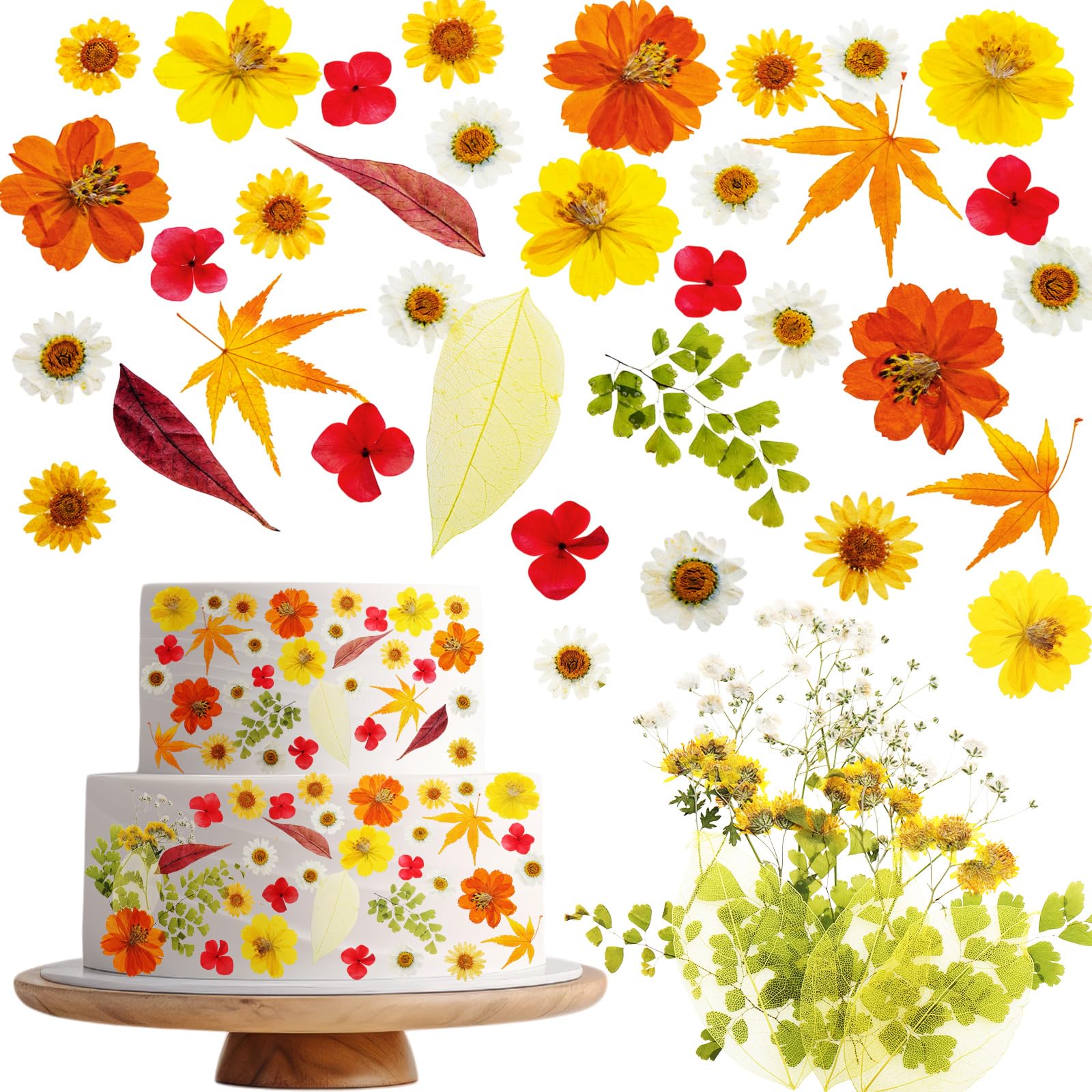Celblisora 96 Pcs Fall Natural Dried Pressed Flowers for Cake Topper Decorating Cupcake Toppers Cocktails Resin Jewelry Making DIY Art Crafts,Orange Flower Leaf Style