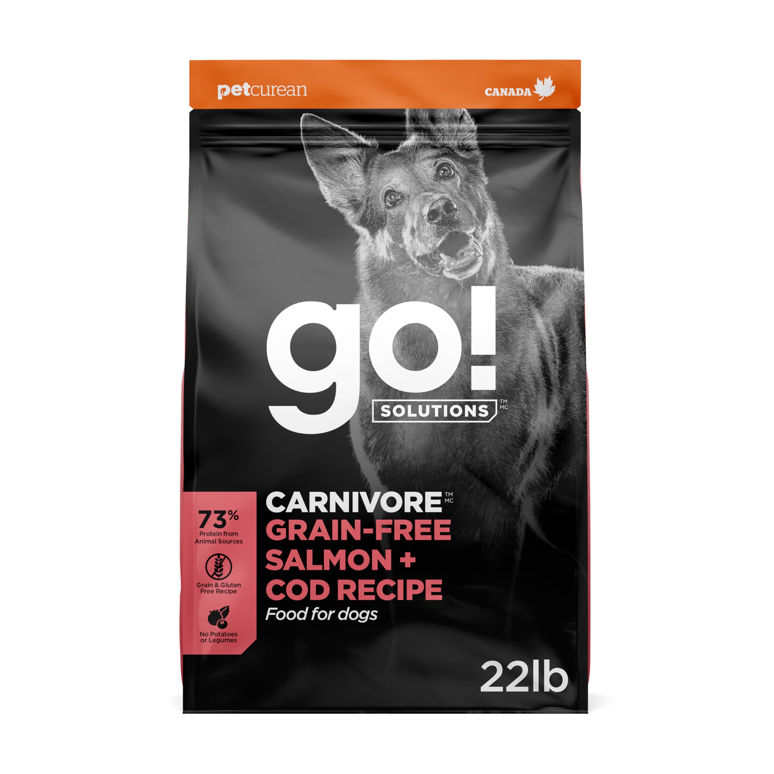 Amazon.com: Go! Solutions Carnivore Salmon + Cod Grain-Free Dry