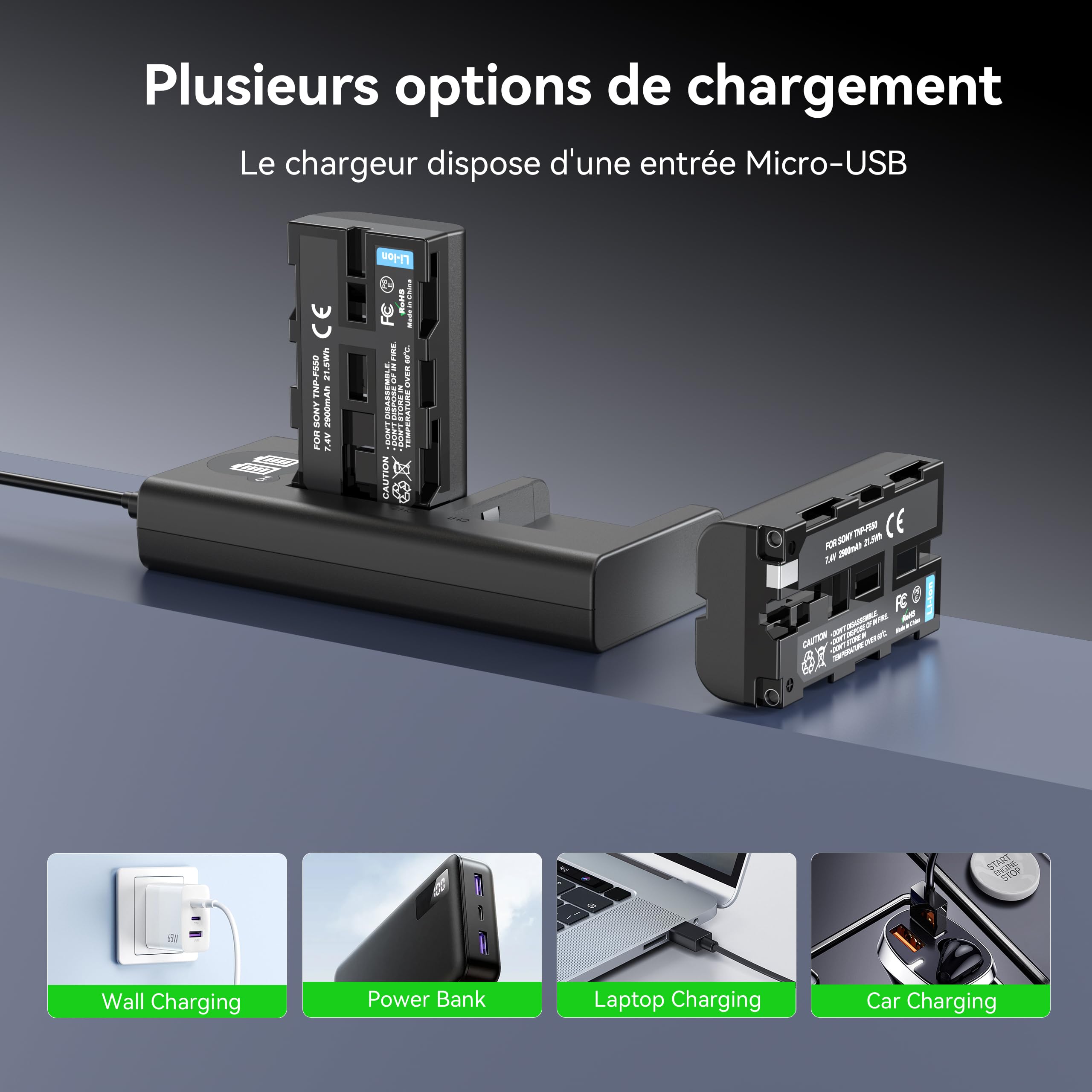 Pack de 2 Batteries de Remplacement NP-F550 de 2900mAh avec Chargeur LCD Double USB-C Appareils pour Sony NP-F970/F960/F770/F750/F570/F550/F530/F330 et CCD-SC55/TR910/TR818