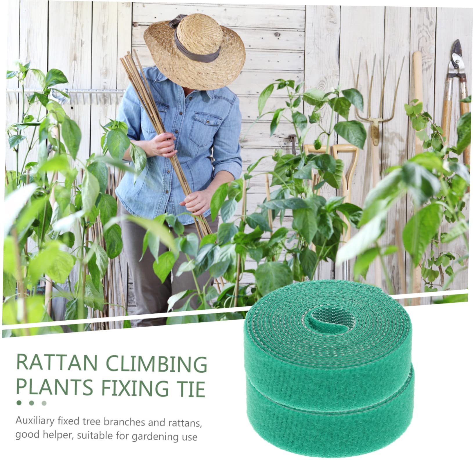 Toyvian 3 Set per Giardinaggio Fissaggio per Piante Rampicanti per E Resistente E Riutilizzabile 2 Pezzi*3