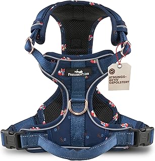 FREUDENTIER Hundegeschirr mit Griff & atmungsaktiver Polsterung - Höchster Komfort, Fester Sitz & maximale Sicherheit - Anti Zug Geschirr - Let's get Foxy Kollektion - Hundegeschirr kleine Hunde (S) product image