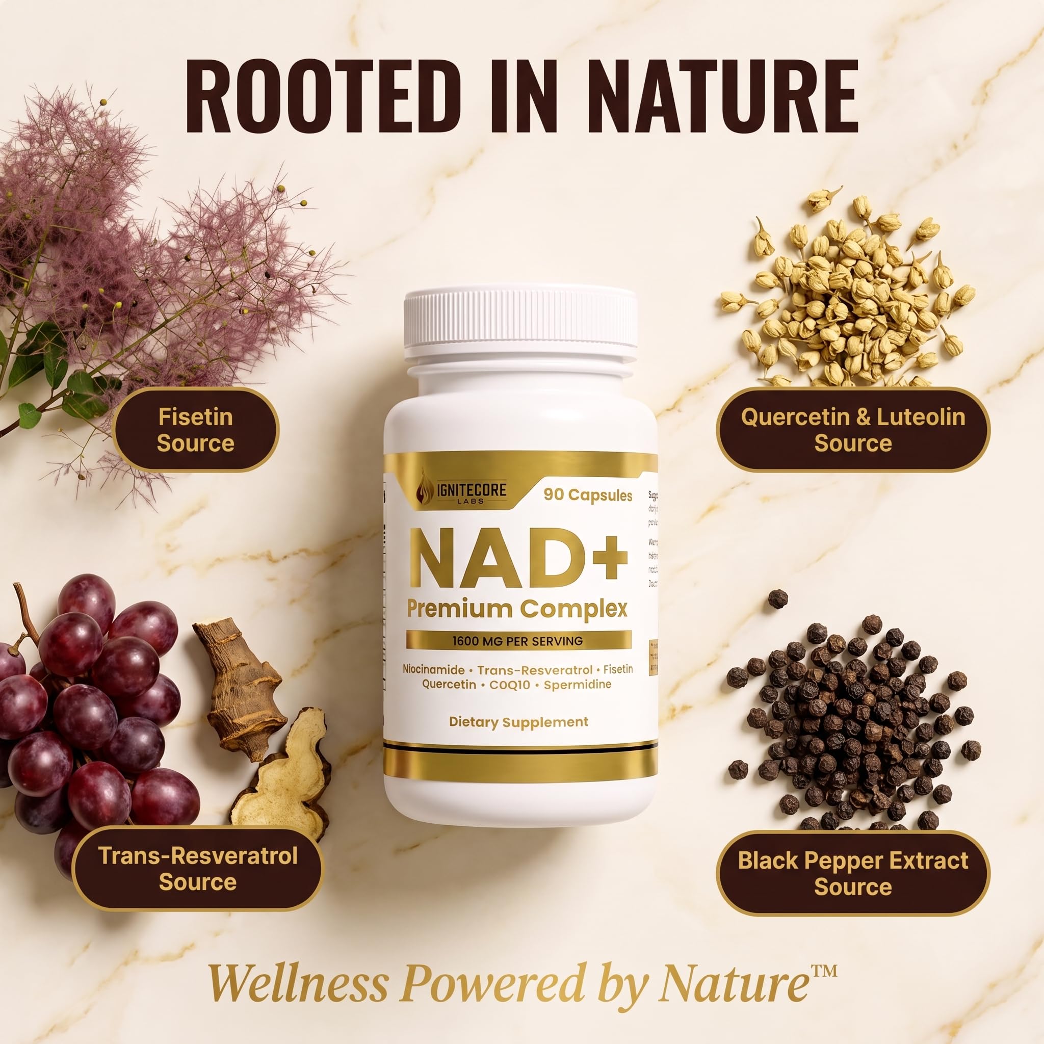 NAD+ Supplement with Spermidine, Fisetin & Trans-Resveratrol - Niacinamide 500mg Vitamin B3, Quercetin, Luteolin, CoQ10, Glycine - Healthy Aging & Cellular Energy for Women & Men, Vegan, 90 Capsules — Amazon image 4