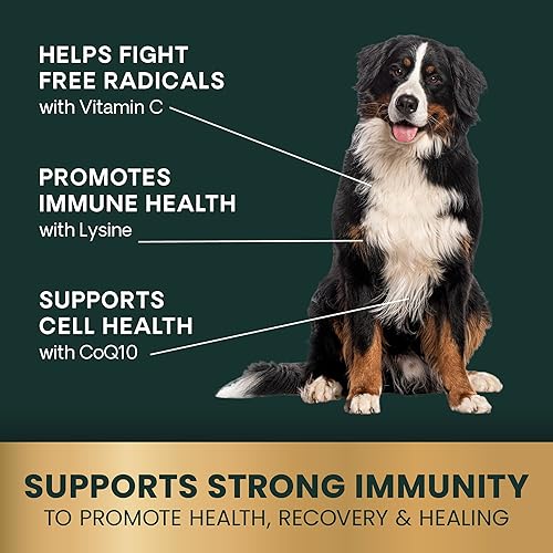 Miniatura 4 de VetriScience Laboratories - Cell Advance 440 Immune Health Formula for Dogs  Cats