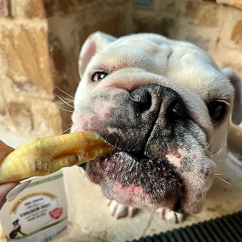 Miniatura 8 de Green Butterfly Chicken Feet - Golosinas para perros, 100% naturales, de un solo ingrediente, masticables dentales para perros, hechos en Estados