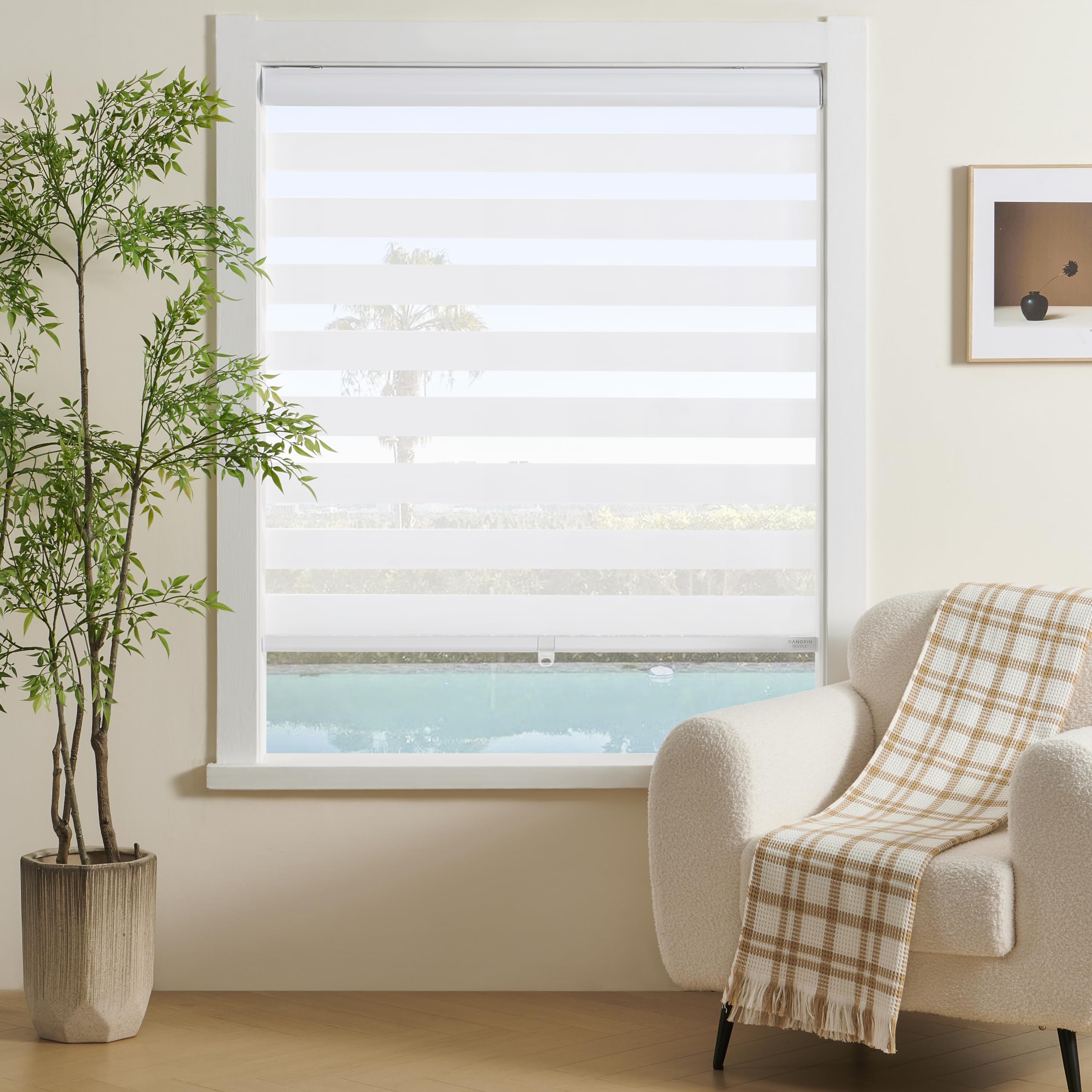 Cordless Zebra Blinds Window Blind Zebra Shade Blinds for Windows Roller Sheer Shades Privacy Light Filtering Shades for Home Kitchen Bathroom (Width 20'' X Height 72'' White)