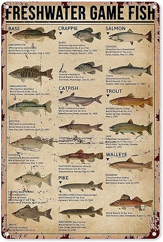 Miniatura 1 de Cartel de metal de aluminio con diseño de pescado, pez de agua dulce, póster de decoración de pared, para el hogar, dormitorio, cocina, bar, hogar,