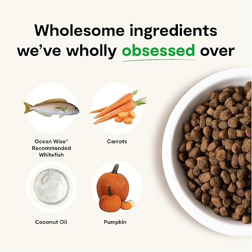 Miniatura 5 de Open Farm Catch-of-The-Season - Alimento seco para perros sin granos, receta de pescado capturado de forma sostenible con superalimentos sin OMG y